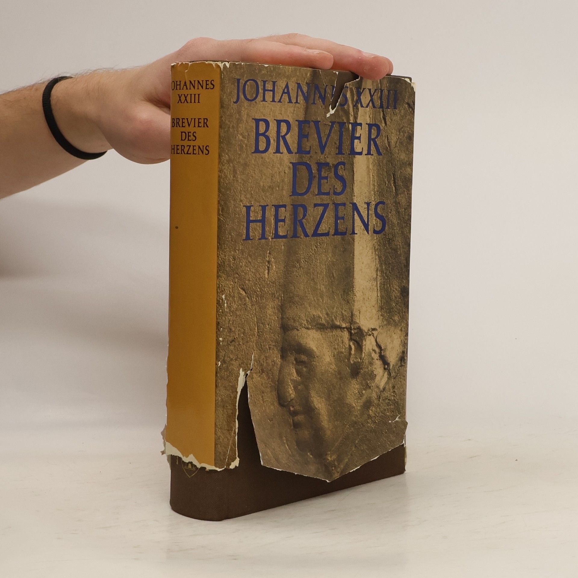 Johannes XXIII. Brevier des Herzens