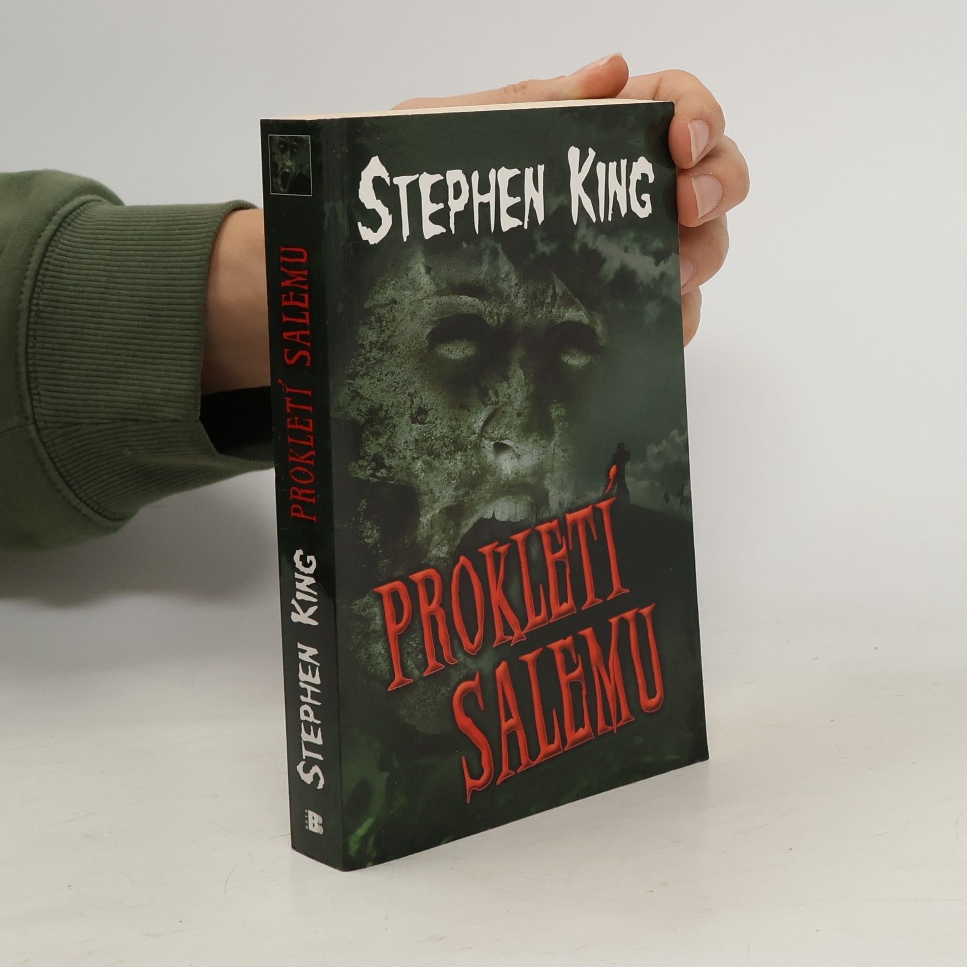 Stephen King Prokletí Salemu