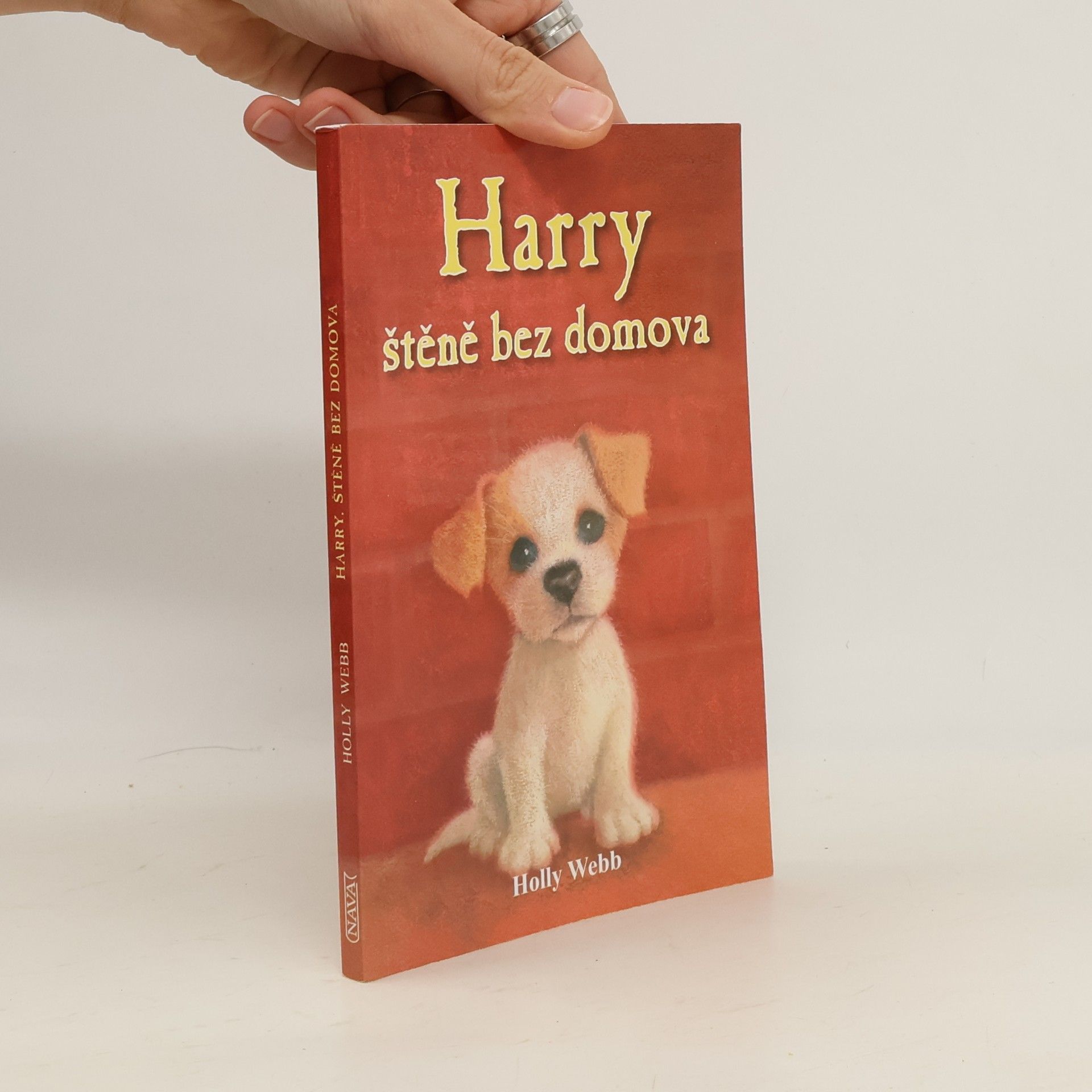 Holly Webb Harry, štěně bez domova