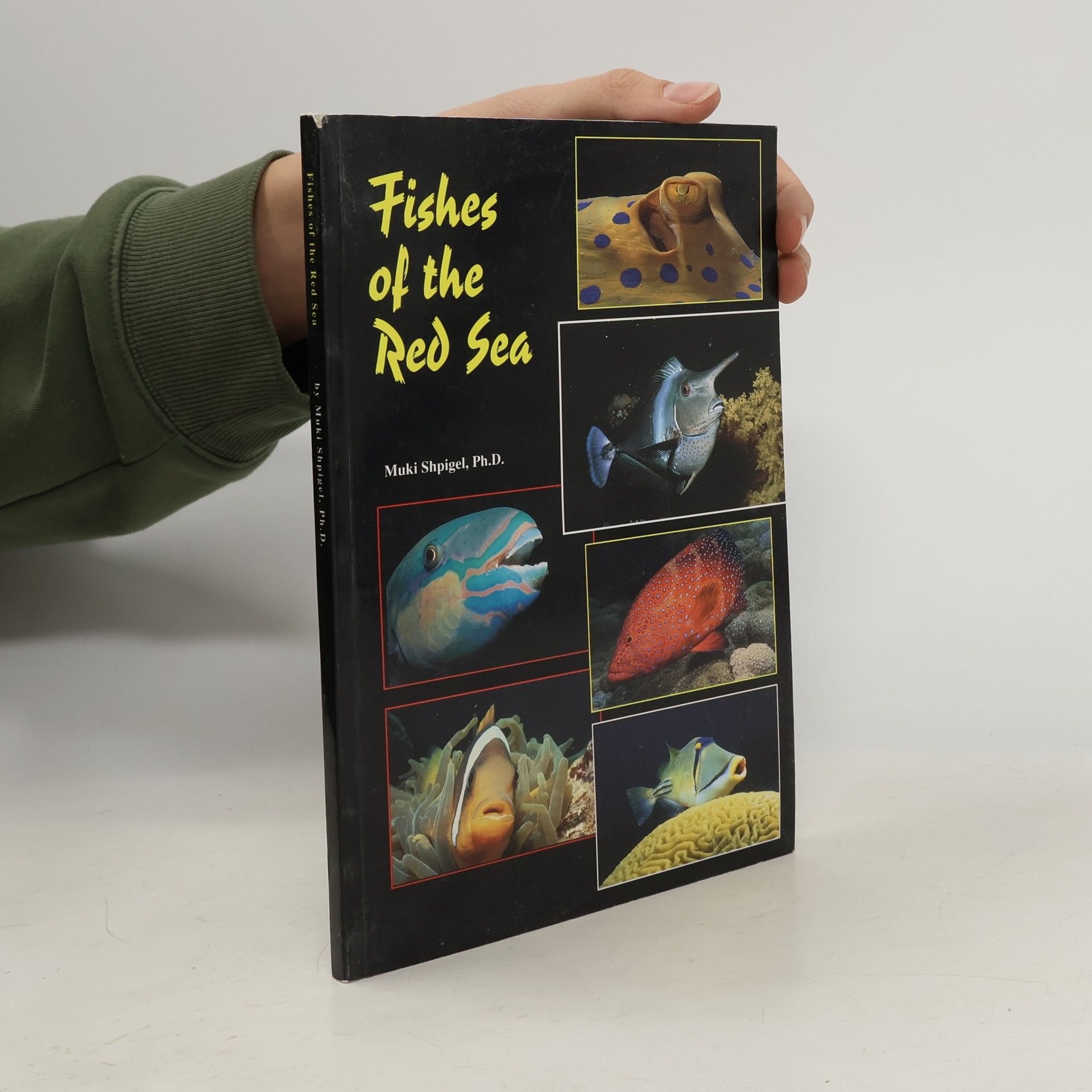 Muki Shpigel Fishes of the Red Sea