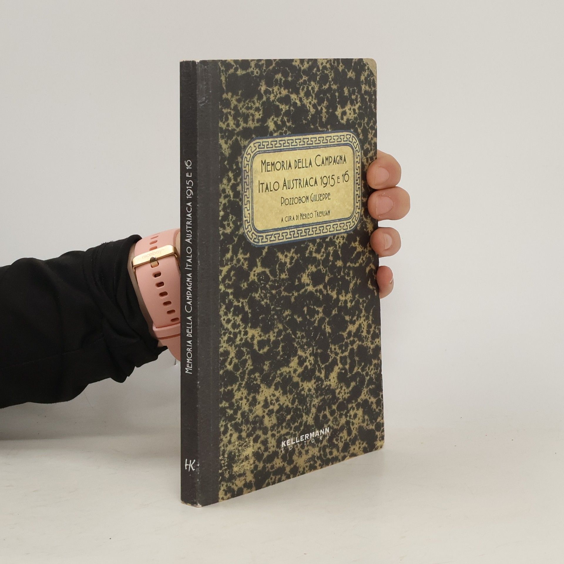 Giuseppe Pozzobon Memoria della campagna italo austriaca 1915 e '16