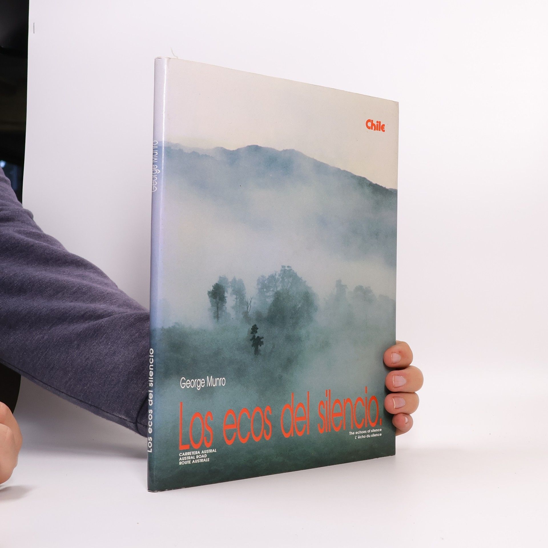 Los ecos del silencio