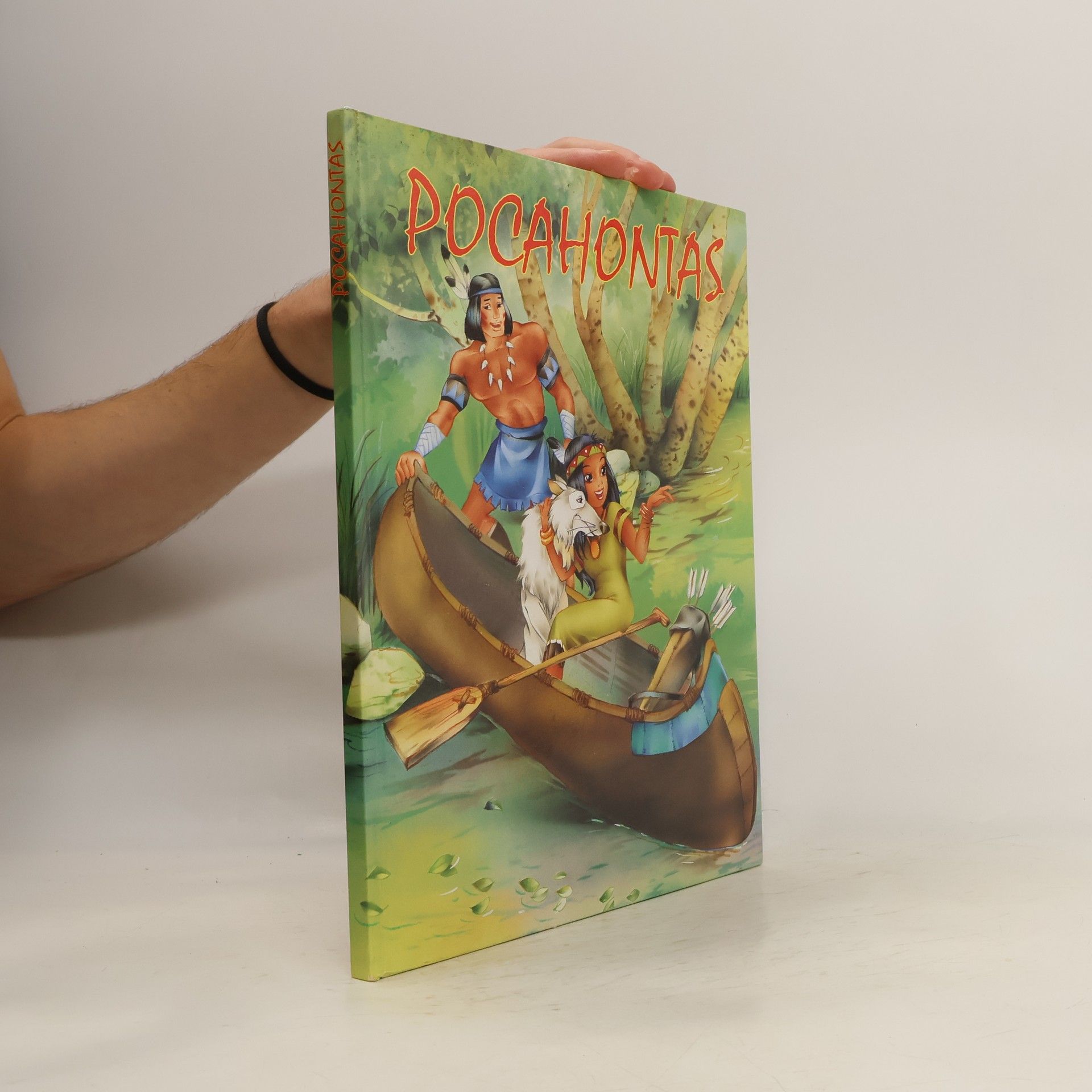 Autorenkollektiv Pocahontas