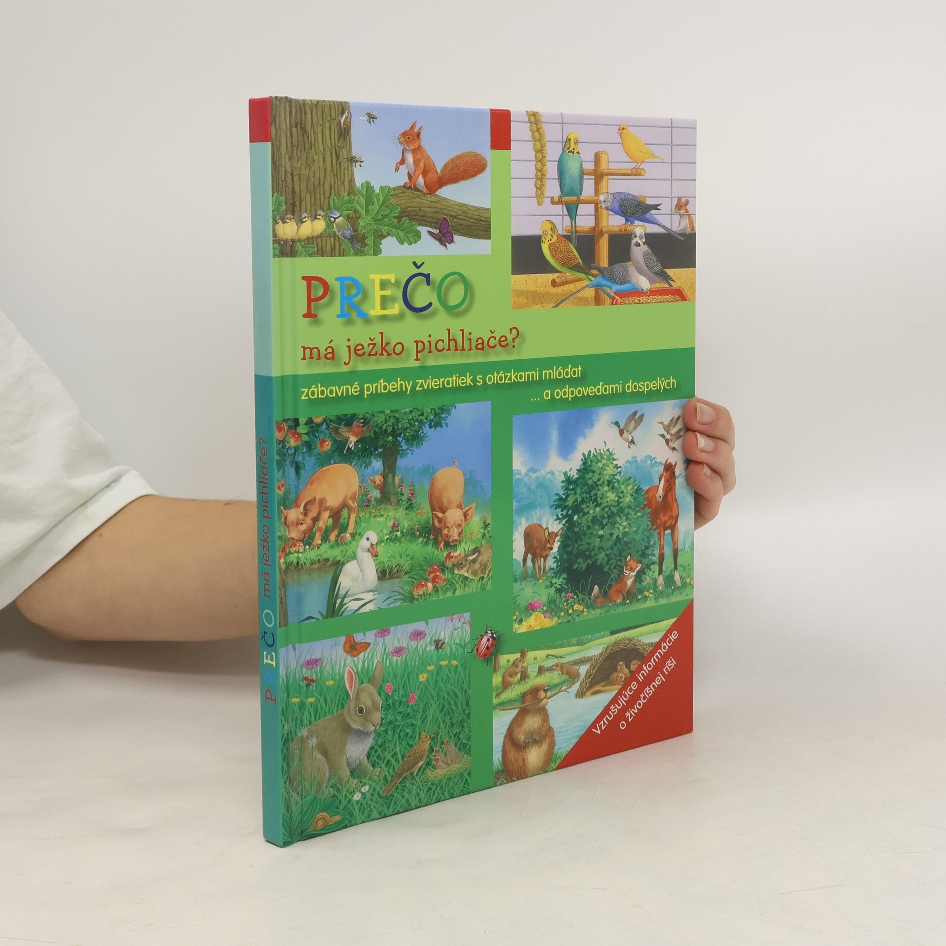 neuveden Prečo má ježko pichliače?
