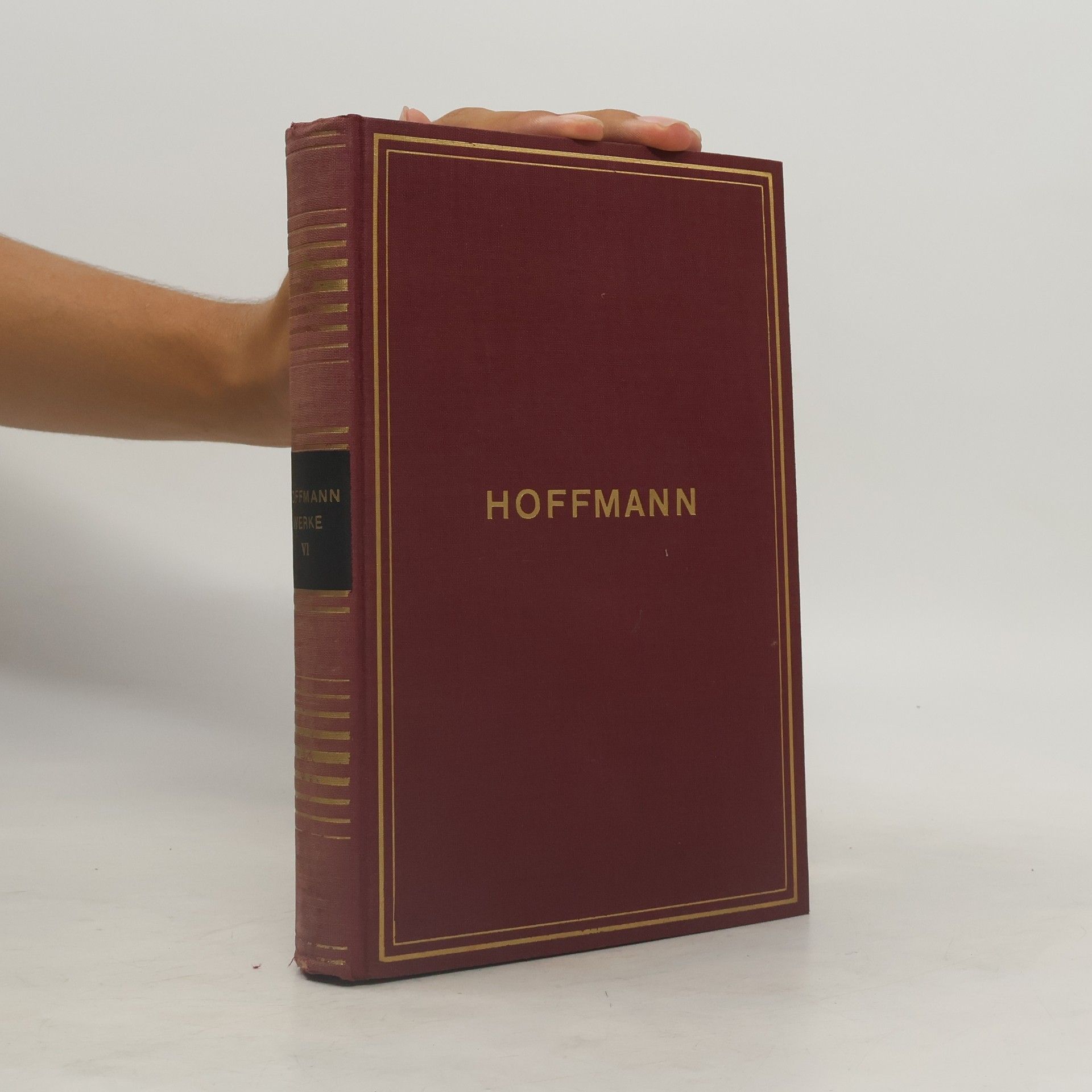 Rudolf Frank E. T. A. Hoffmanns Sämtliche Werke. Tagebücher/Briefe. Sechster Band