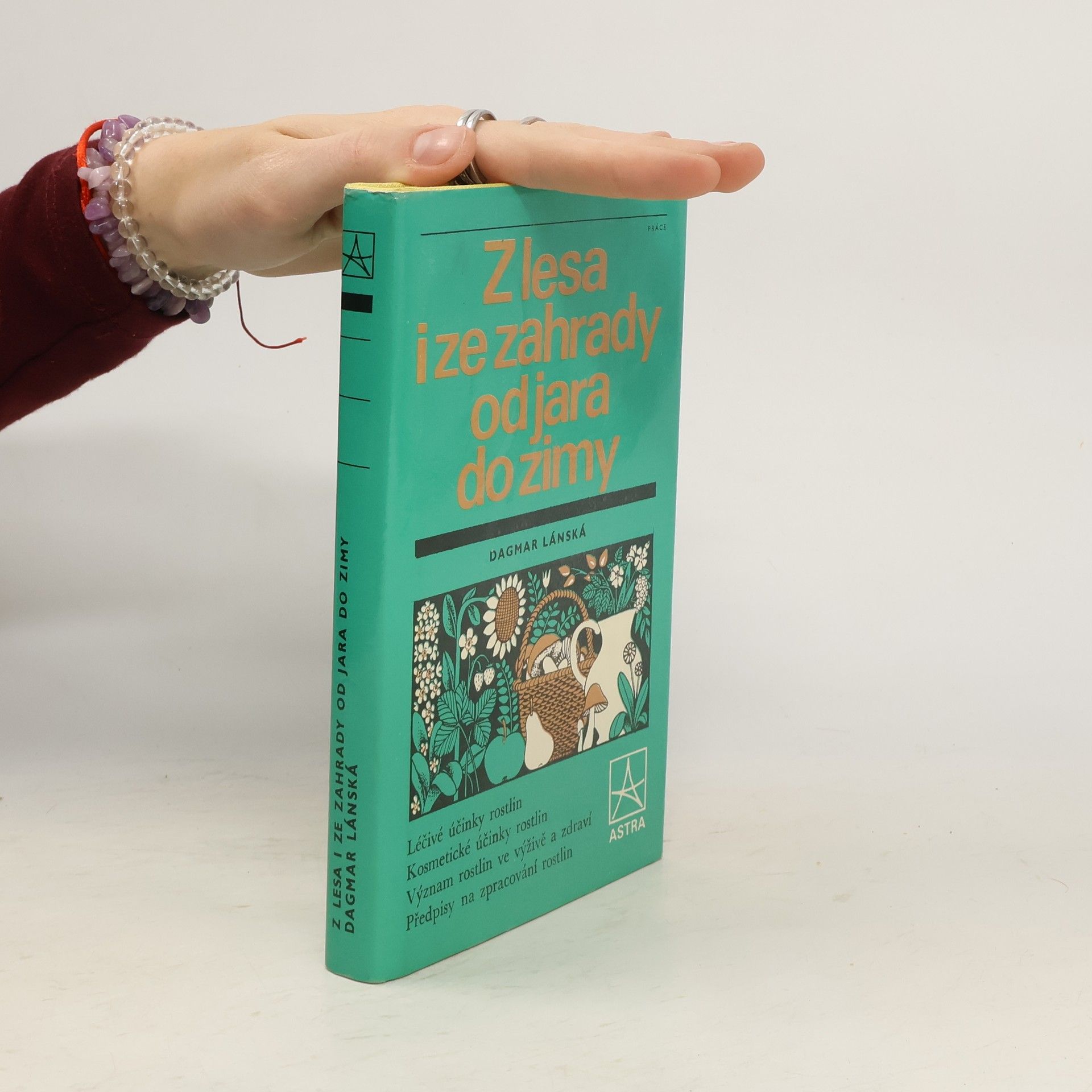 Dagmar Lánská Z lesa i ze zahrady od jara do zimy