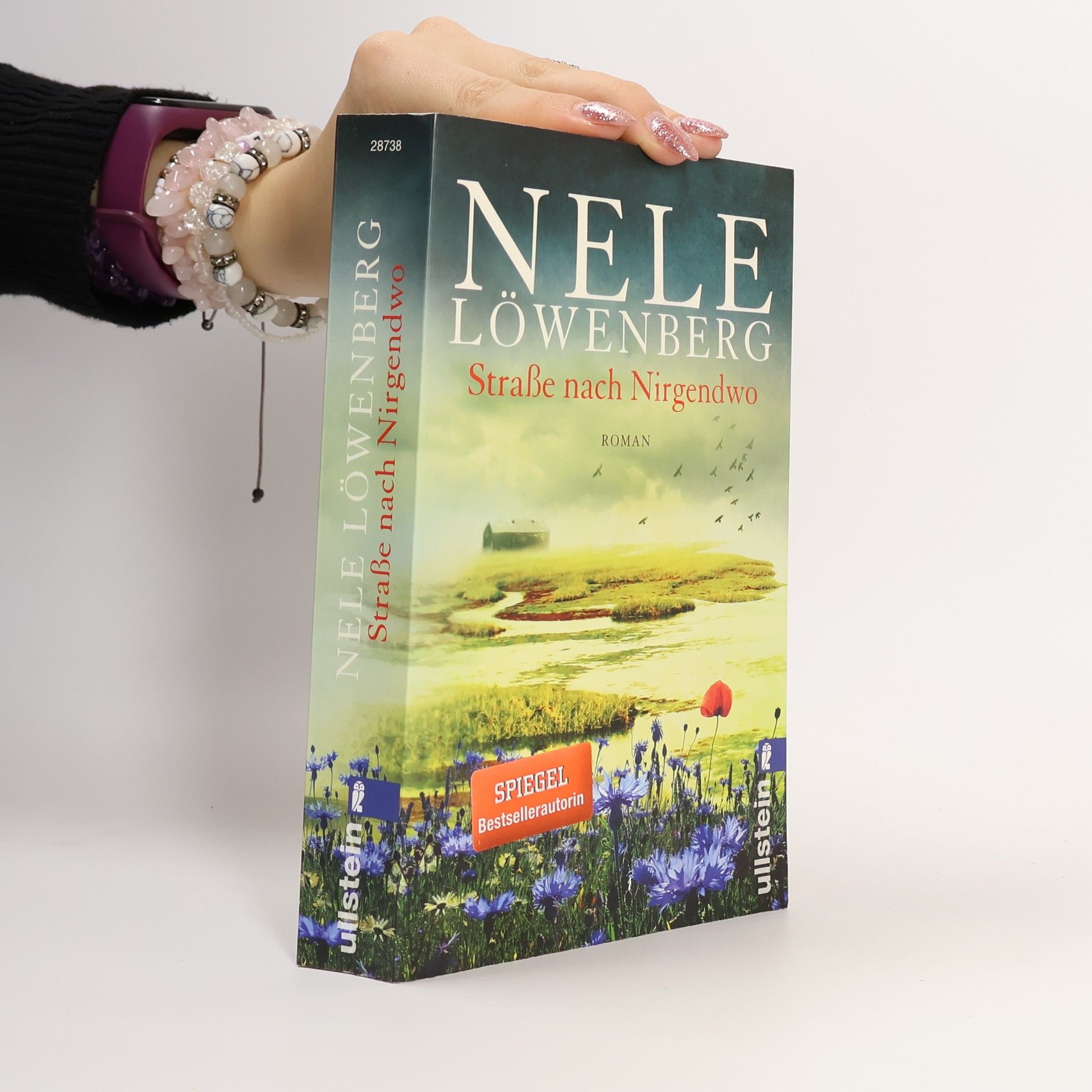 Nele Löwenberg Straße nach Nirgendwo