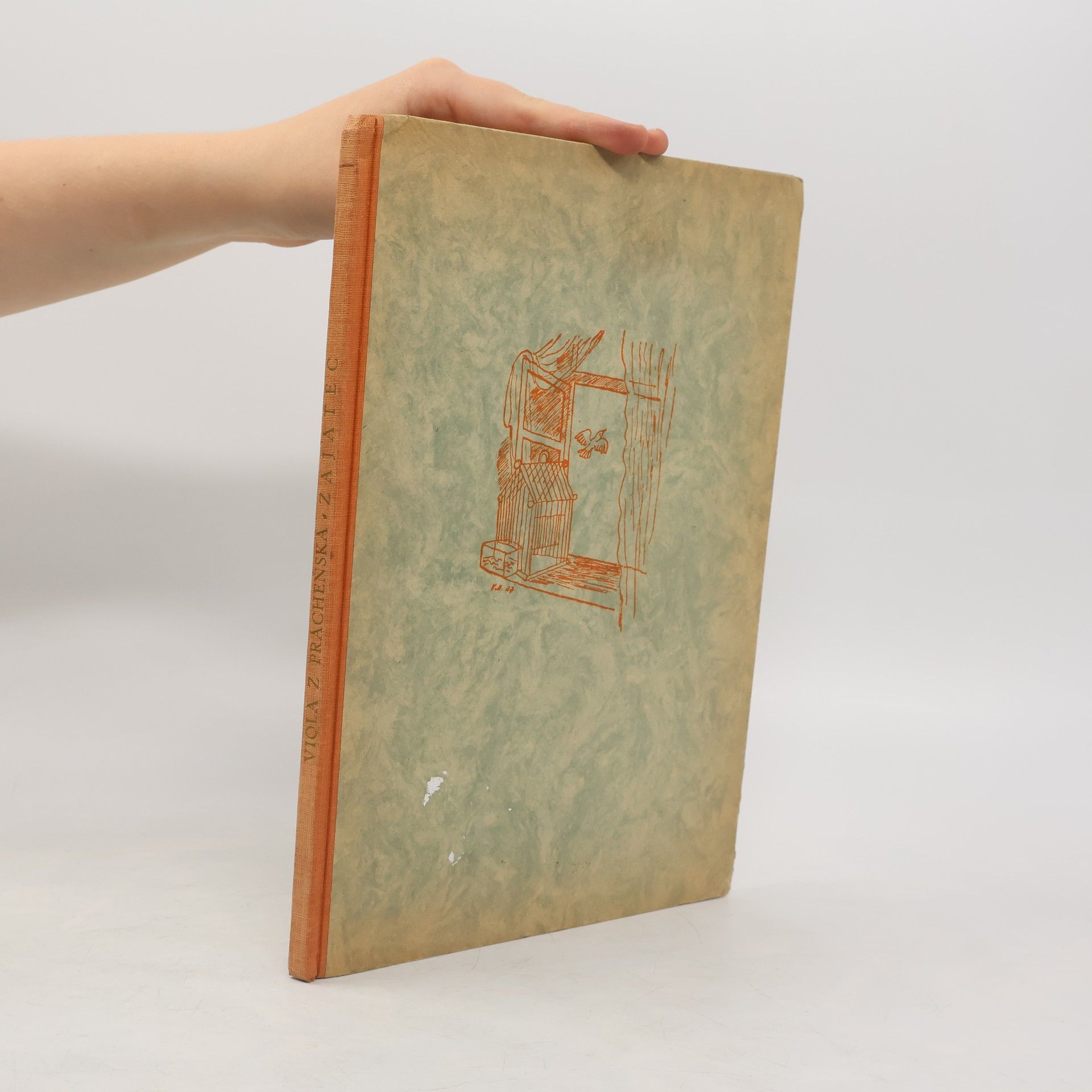 Viola z. Prácheňska Zajatec