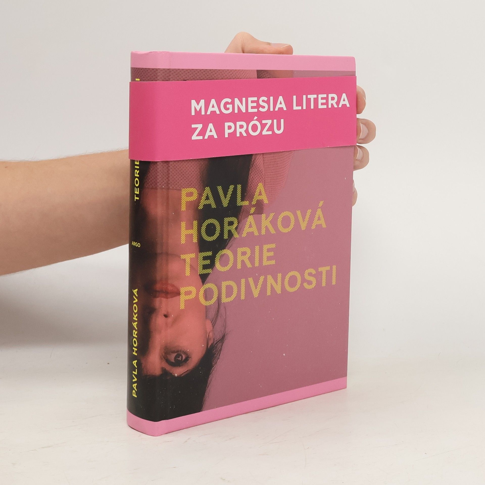 Pavla Horáková Teorie podivnosti