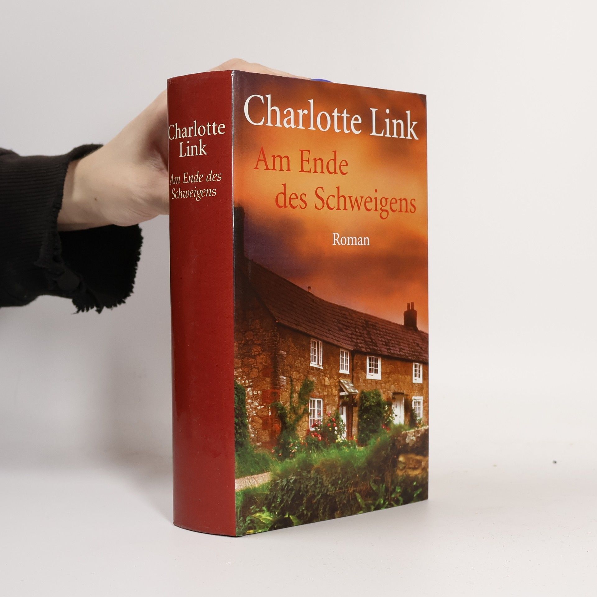 Charlotte Link Am Ende des Schweigens