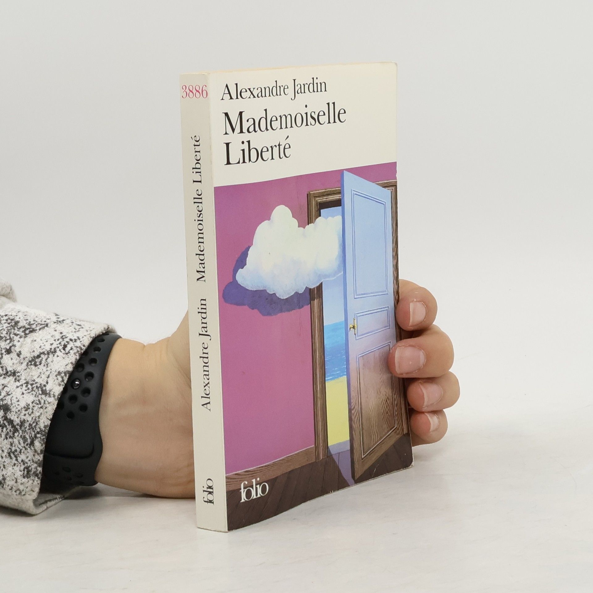 Alexandre Jardin Mademoiselle Liberté