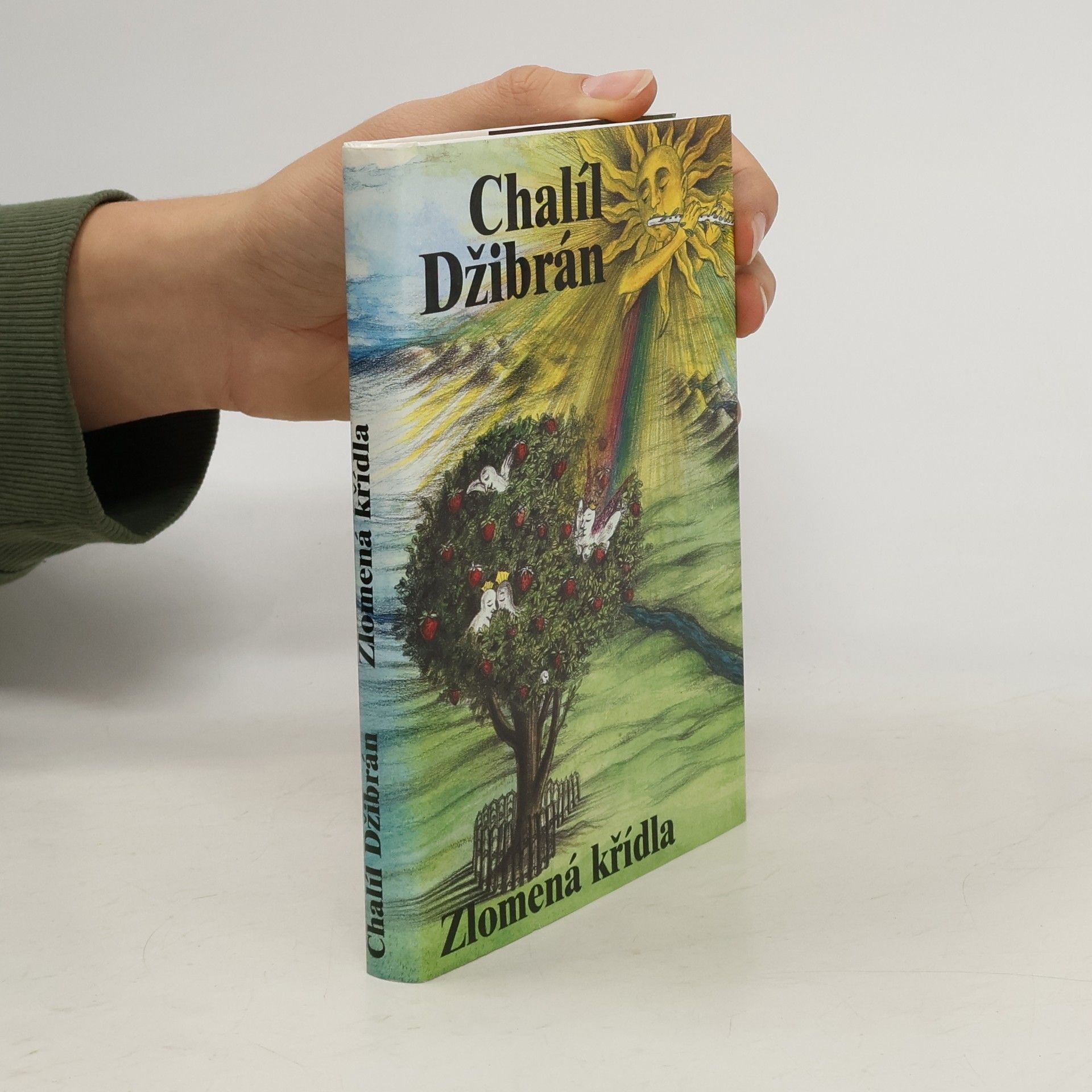 Chalíl Džibrán Zlomená křídla