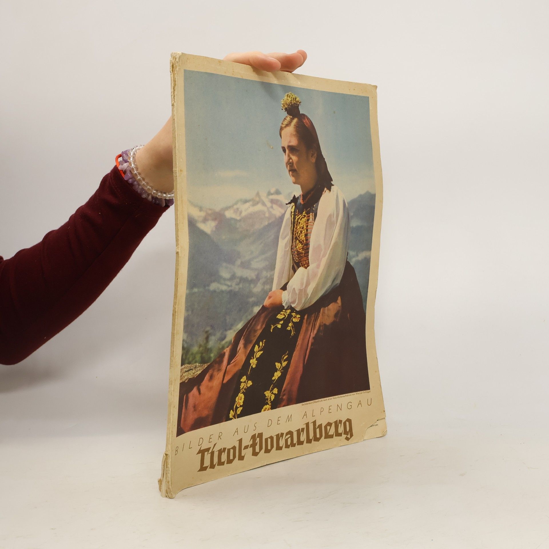 AA.VV. Bilder aus dem alpengau: Tirol - Vorarlberg