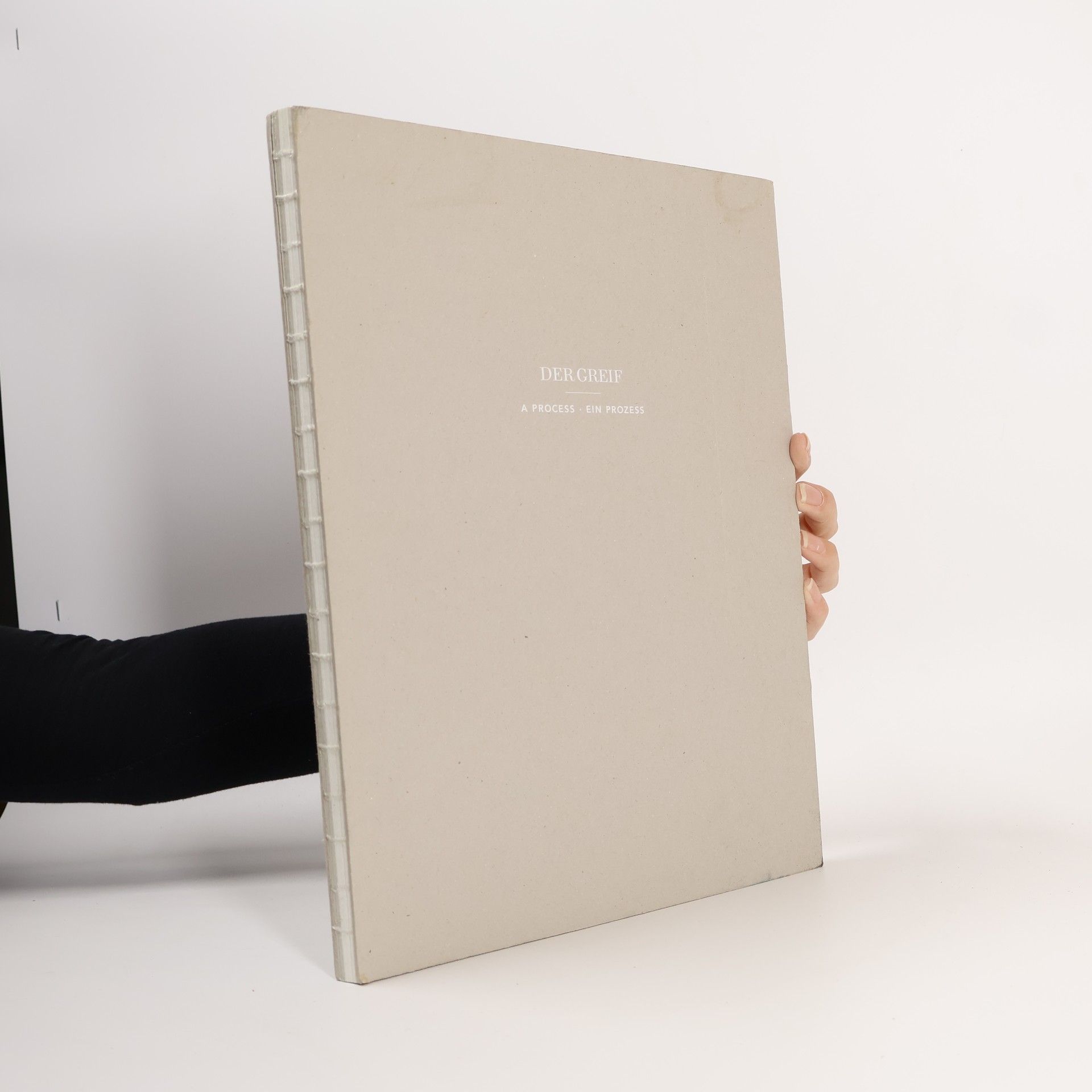 Simon Karlstetter Der Greif - a process, ein Prozess