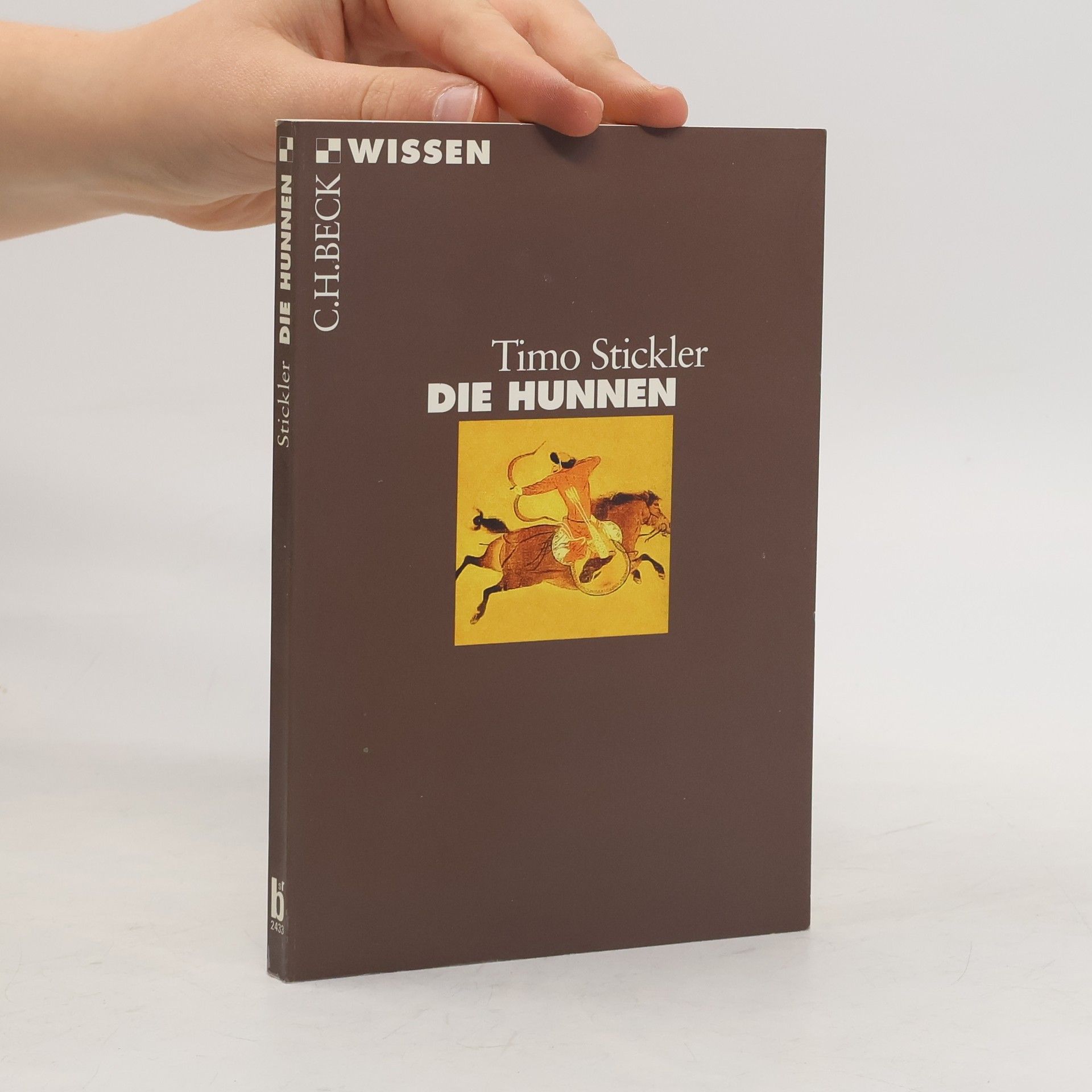 Timo Stickler Die Hunnen