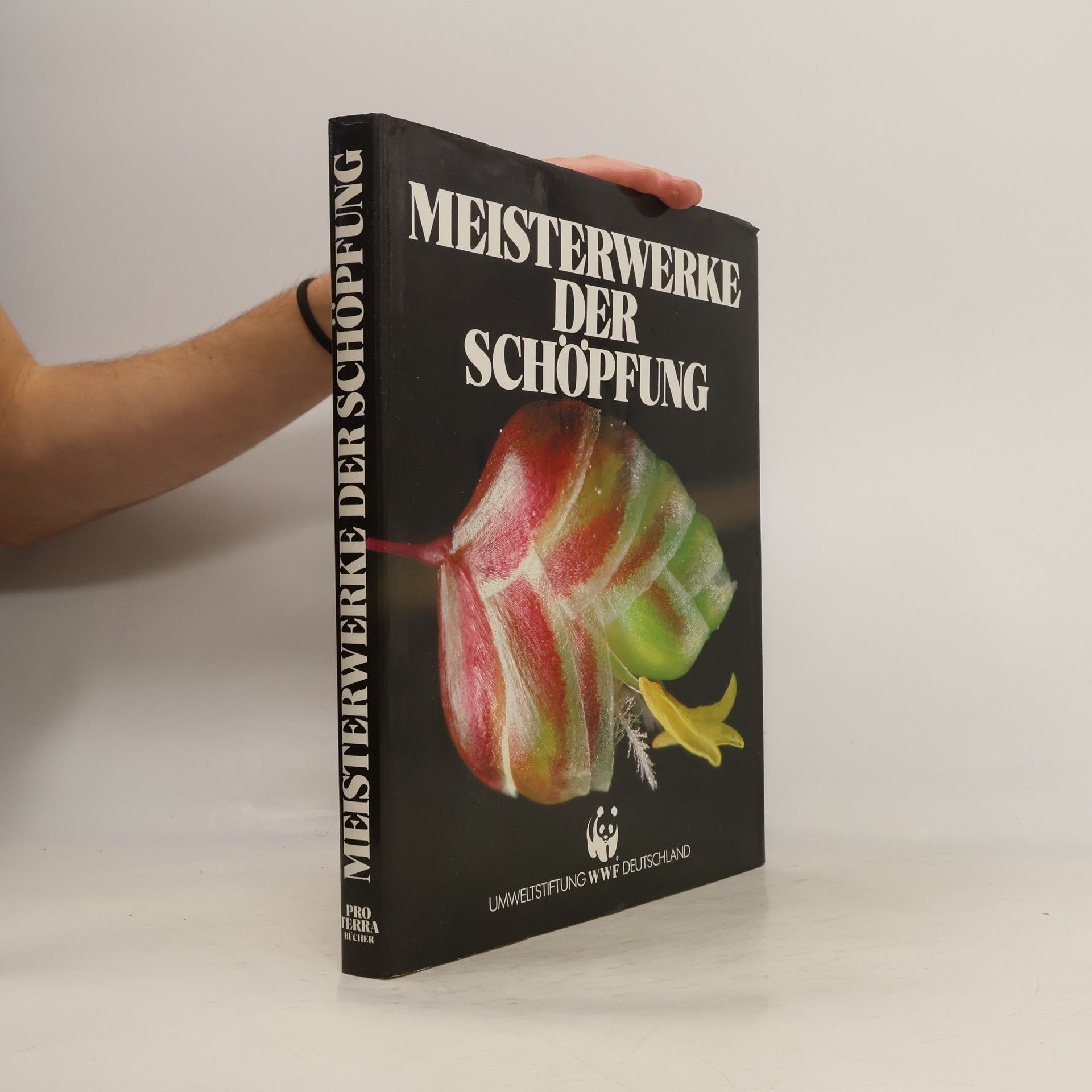 Autorenkollektiv Meisterwerke der Schöpfung