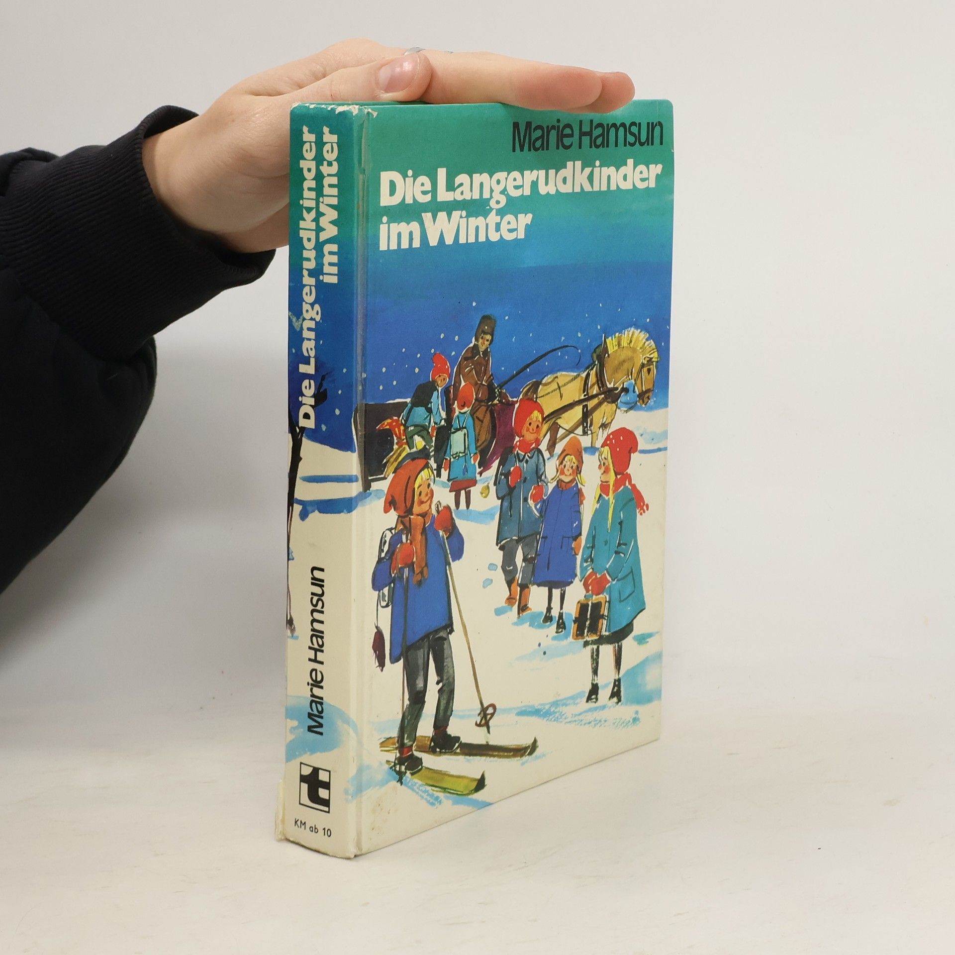 Marie Hamsun Die Langerudkinder im Winter