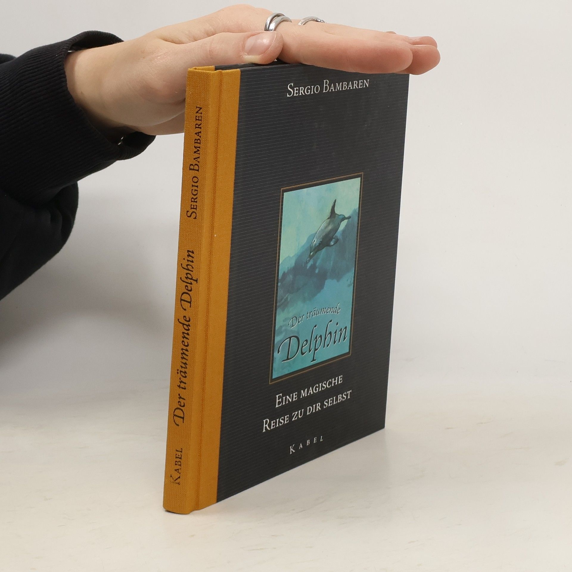 Sergio Bambaren Der träumende Delphin