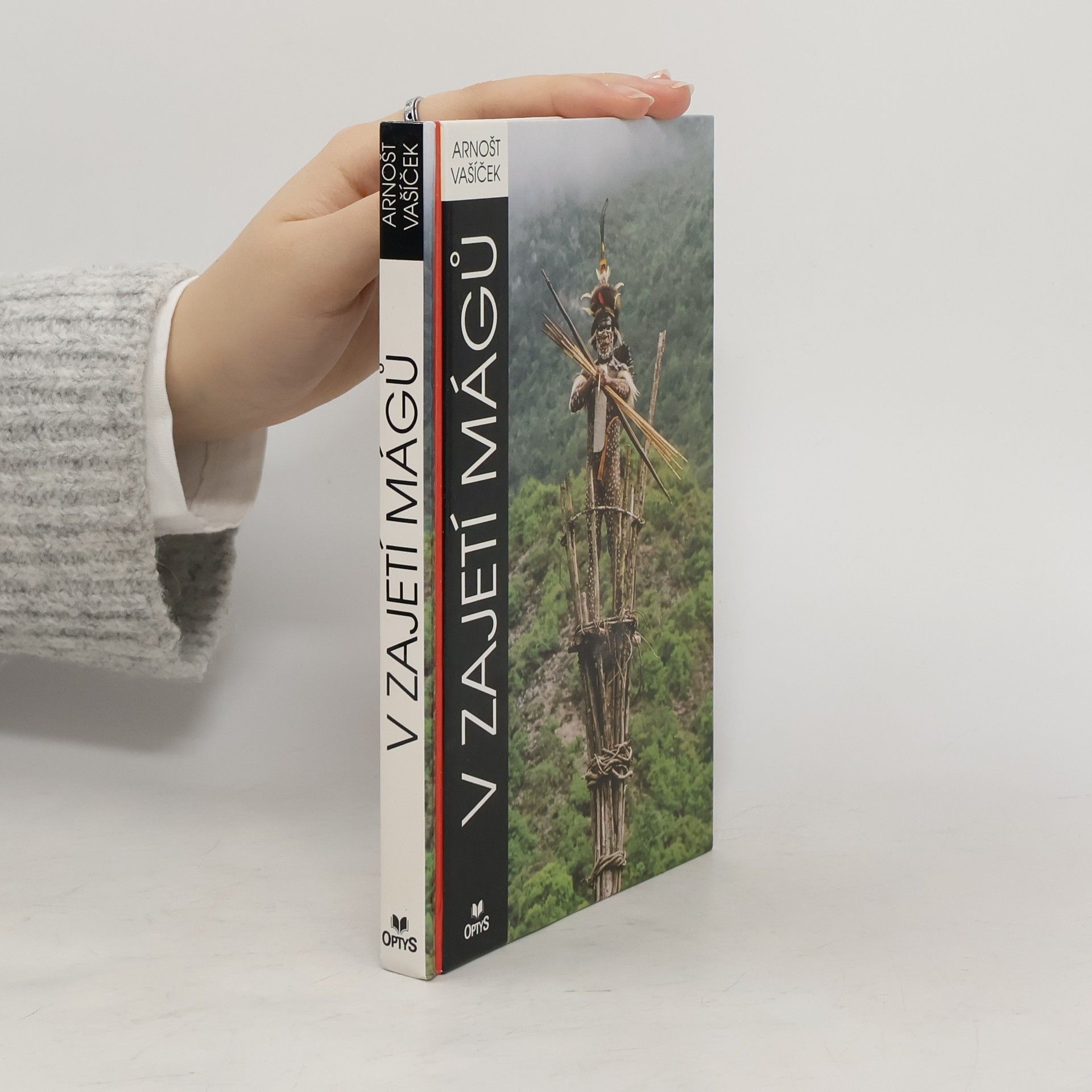 Arnošt Vašíček V zajetí mágů