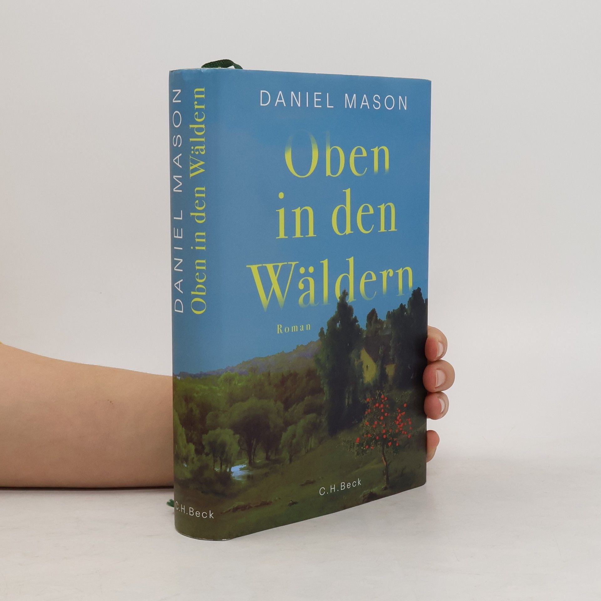 Daniel Mason Oben in den Wäldern