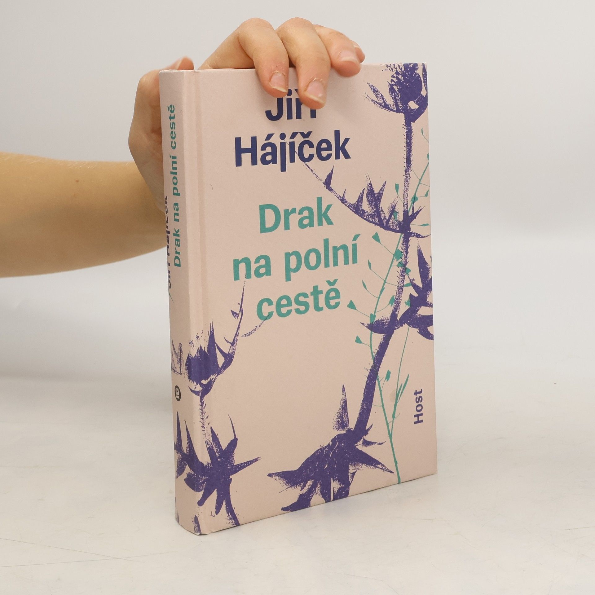 Jiří Hájíček Drak na polní cestě