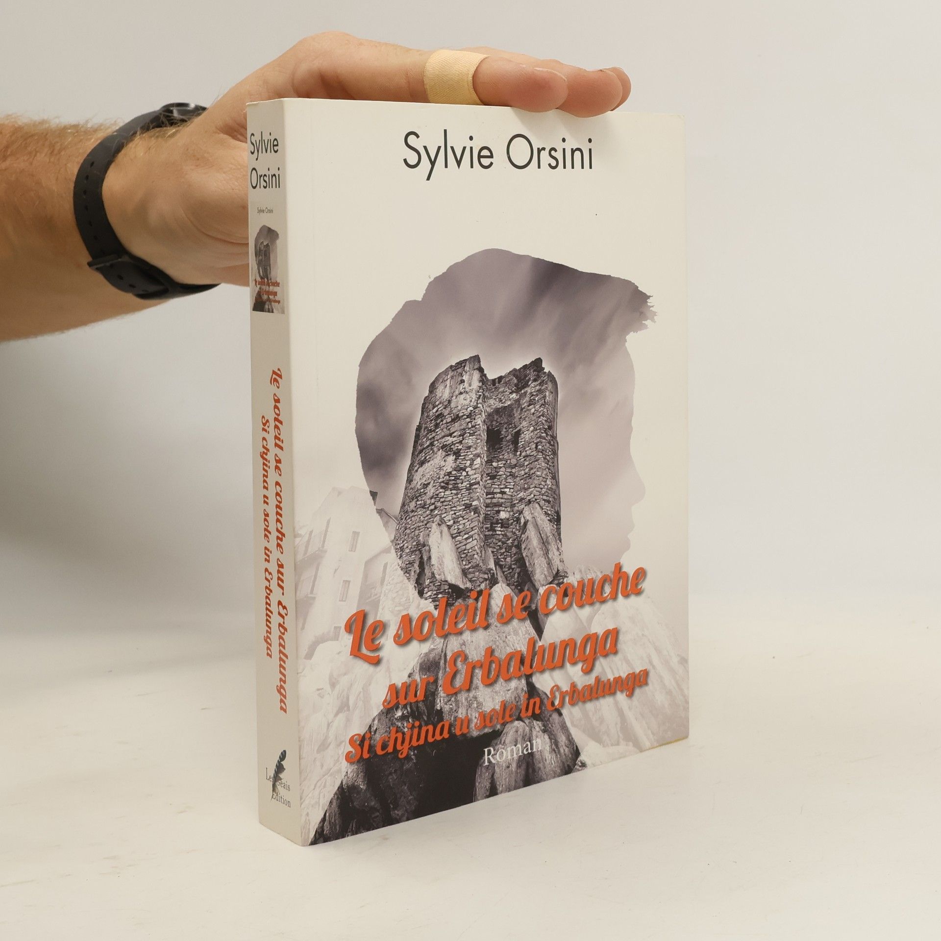 Sylvie Orsini Le soleil se couche sur Erbalunga