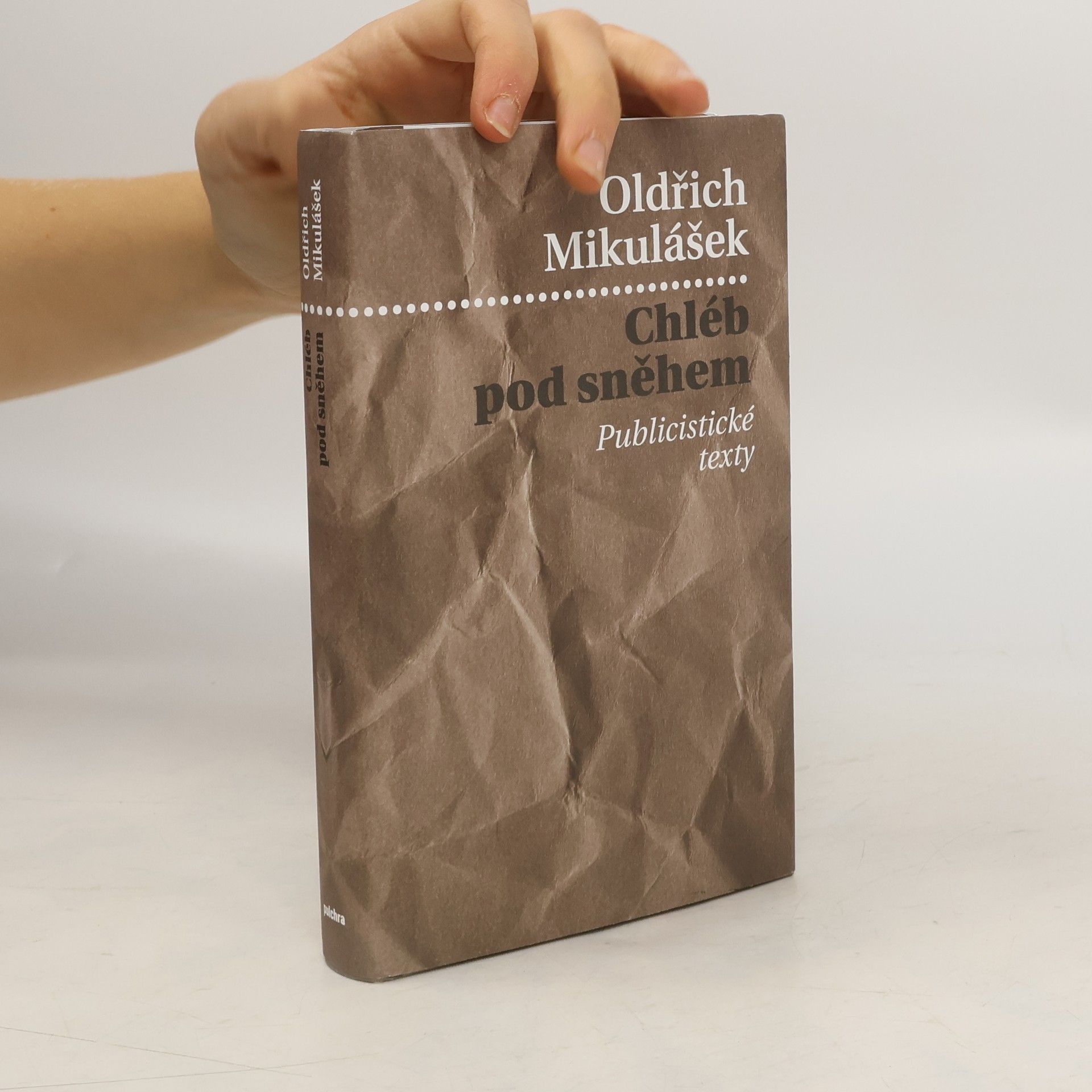 Chléb pod sněhem. Publicistické texty