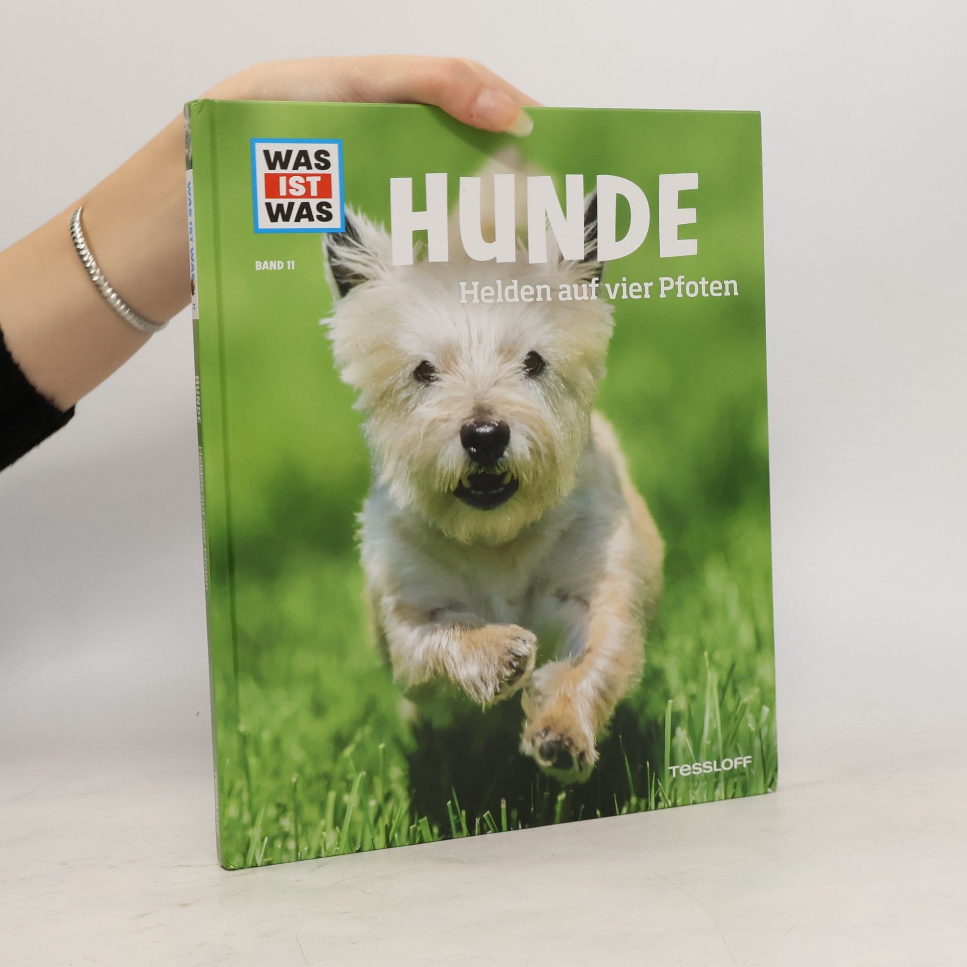 Autorenkollektiv Hunde. Helden auf vier Pfoten