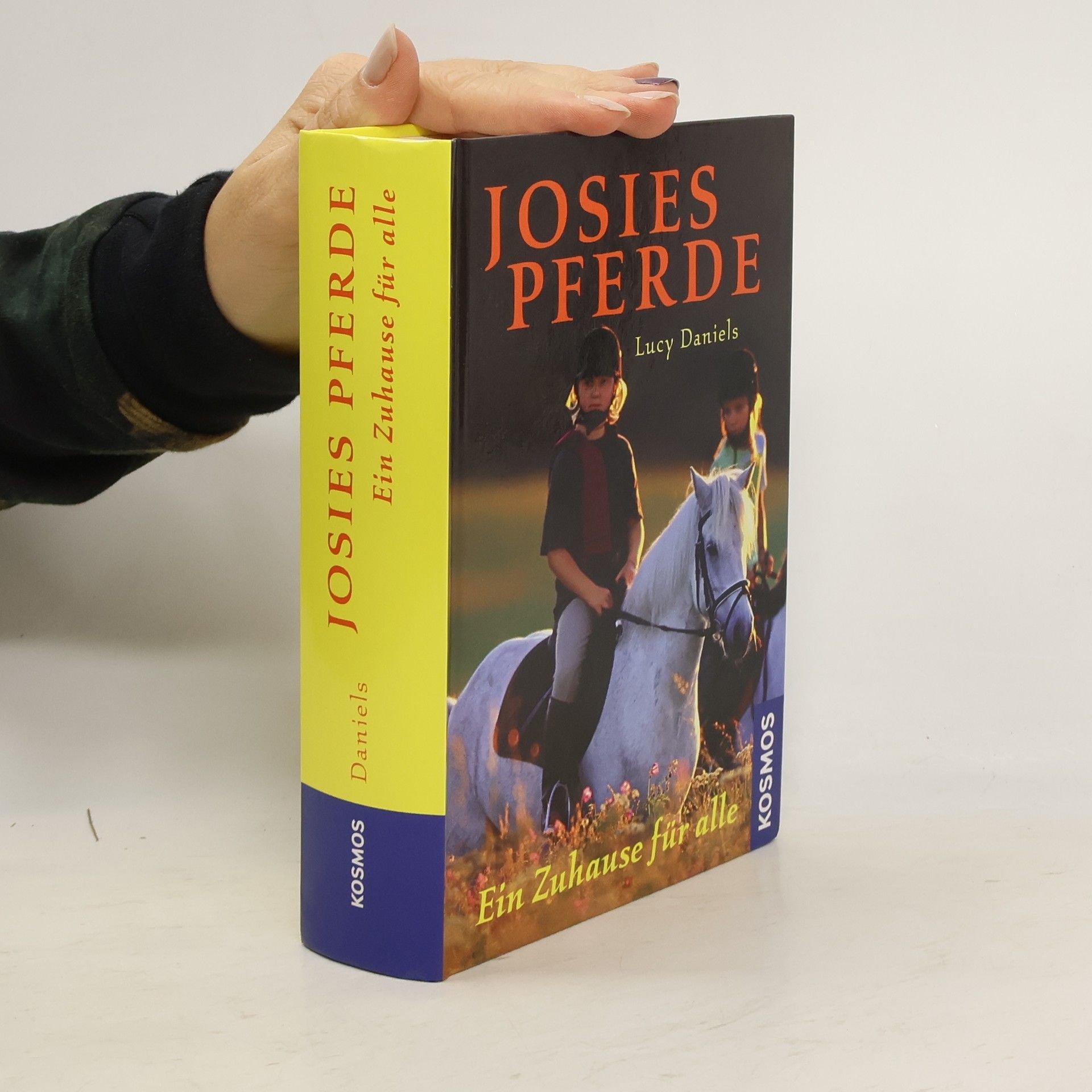Lucy Daniels Josies Pferde - ein Zuhause für alle
