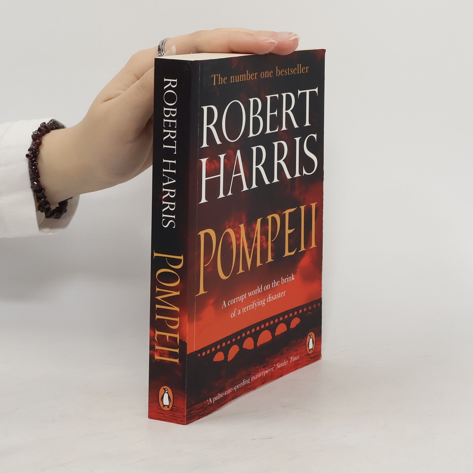 Robert Harris Pompeii