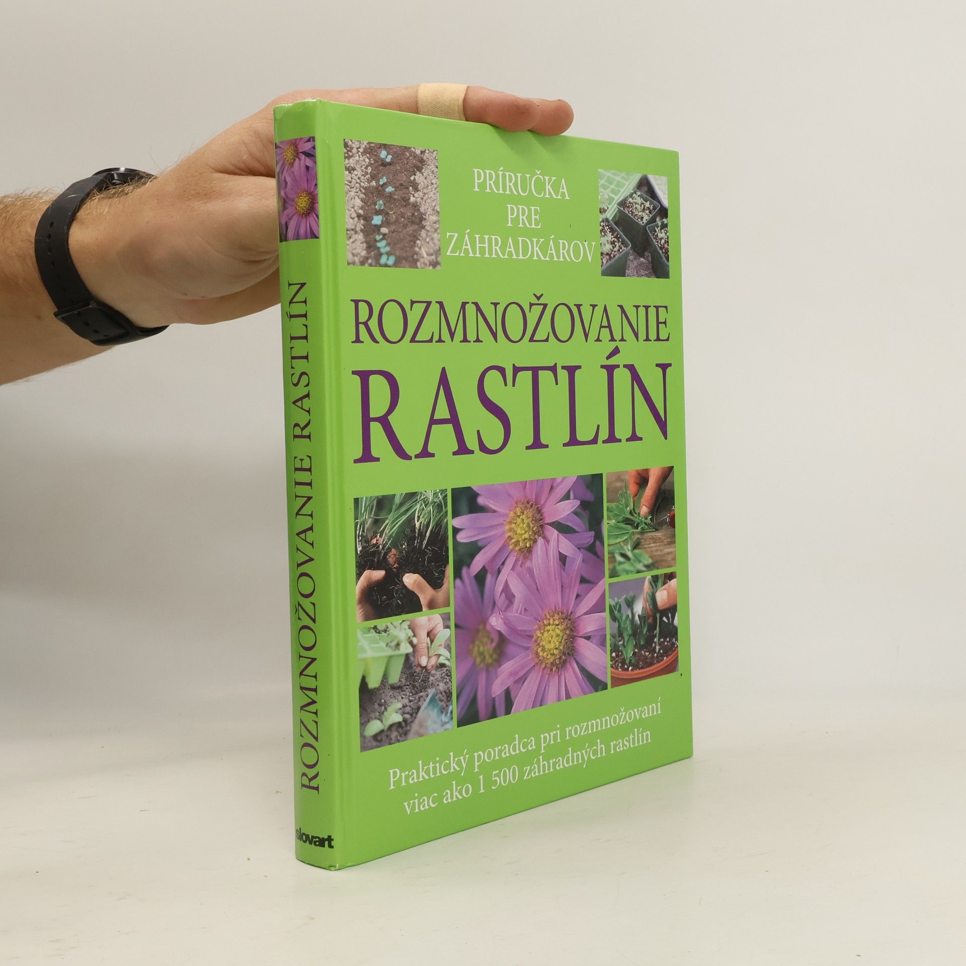 Kolektív autorov Rozmnožovanie rastlín