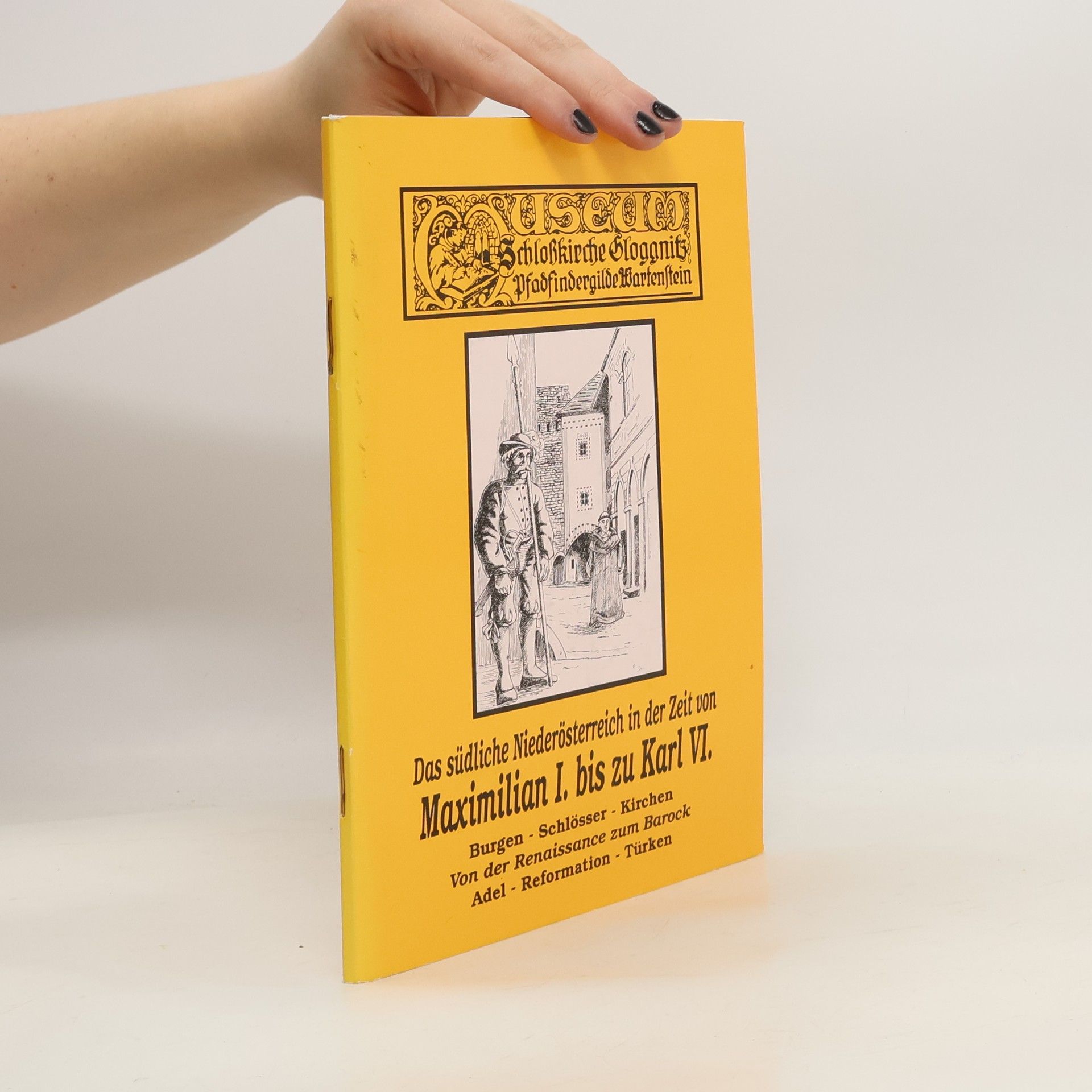 Collectif d'auteurs Das südliche Niederösterreich in der Zeit von Maximilian I. bis Karl VI.