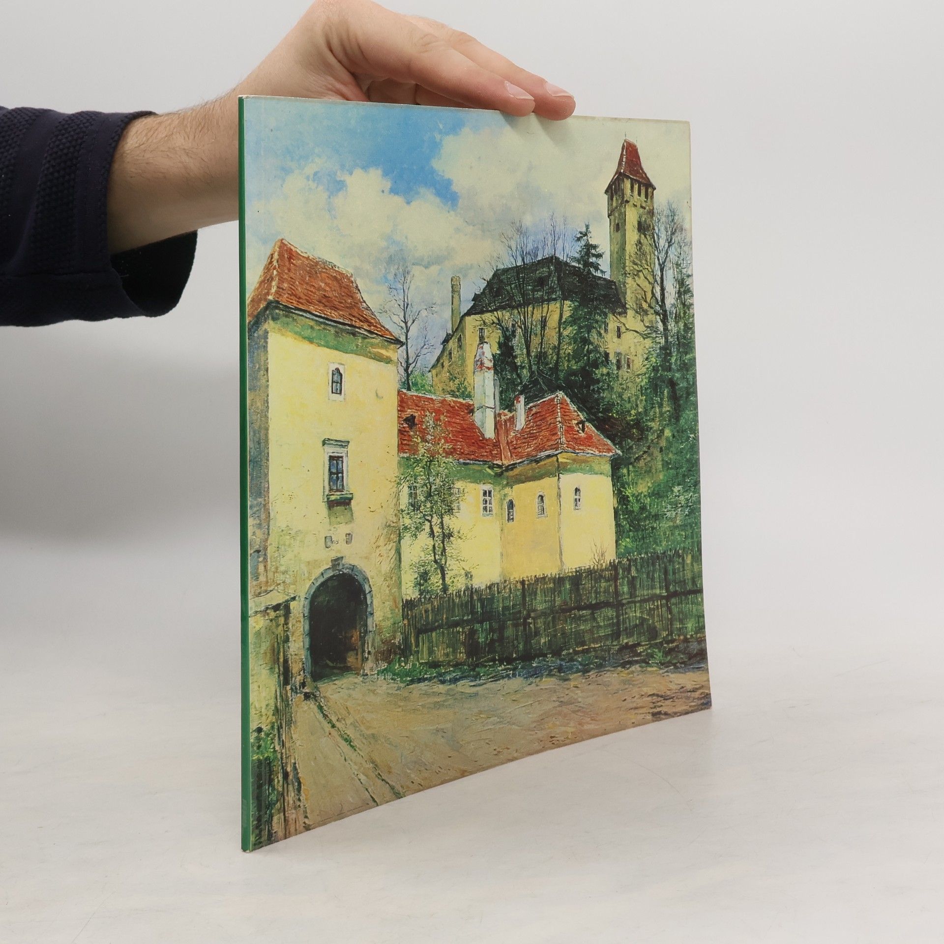 AA.VV. 100 Jahre Sparkasse der Stadt Allentsteig