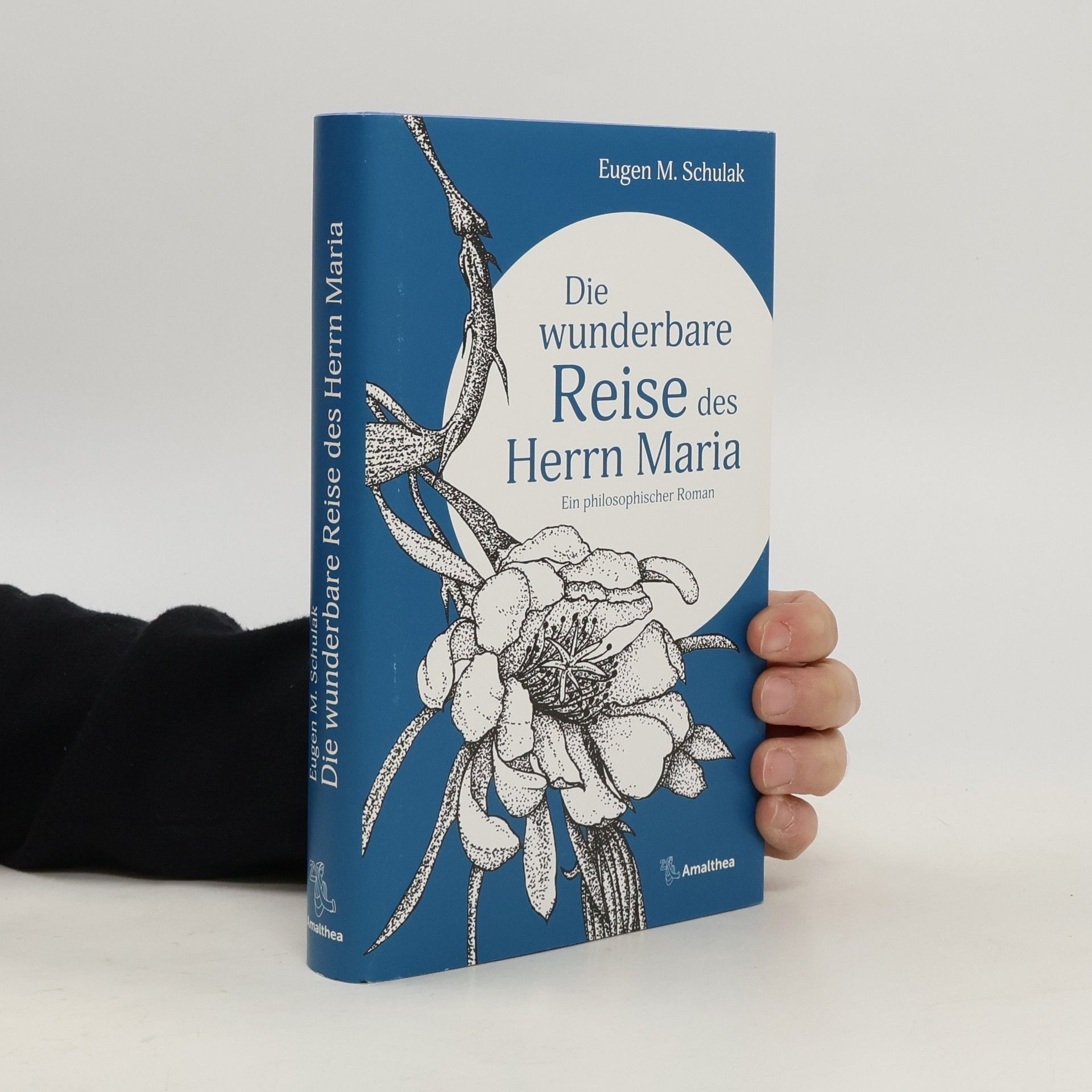 Die wunderbare Reise des Herrn Maria