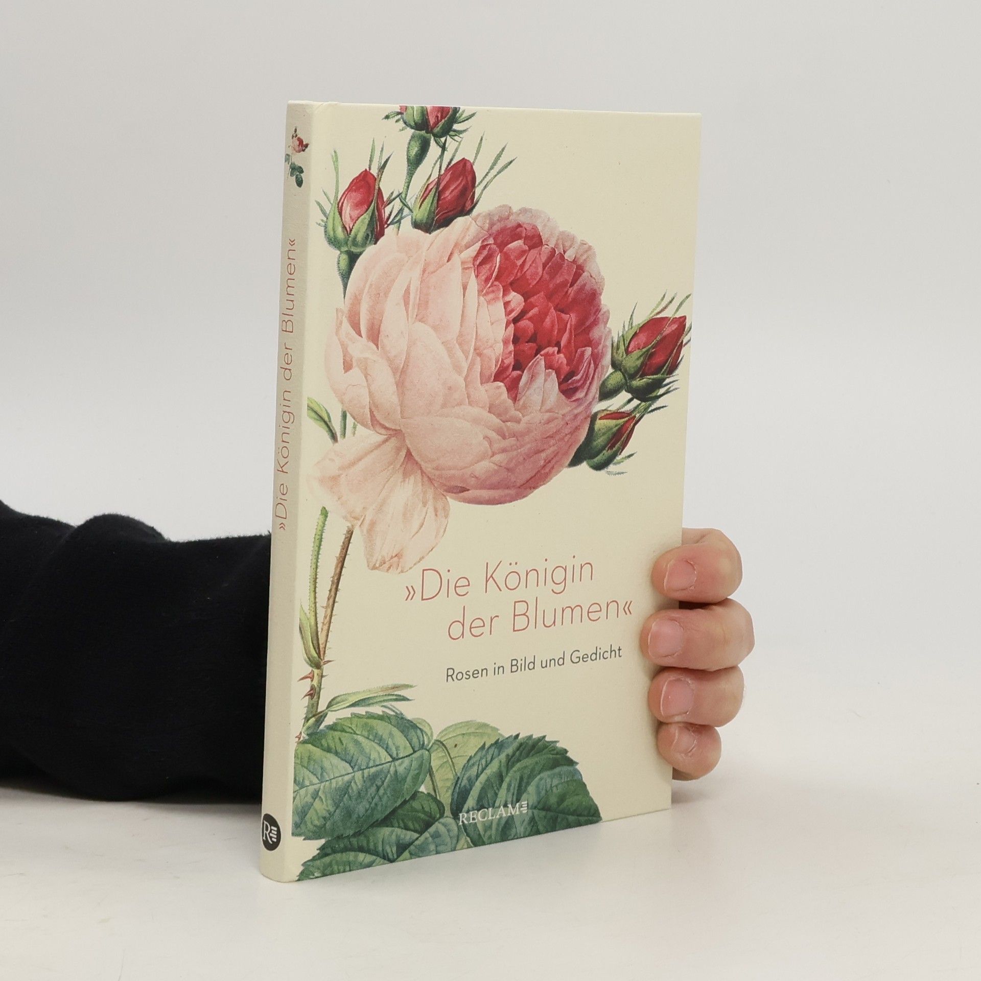 Eva Hoffmeier »Die Königin der Blumen«