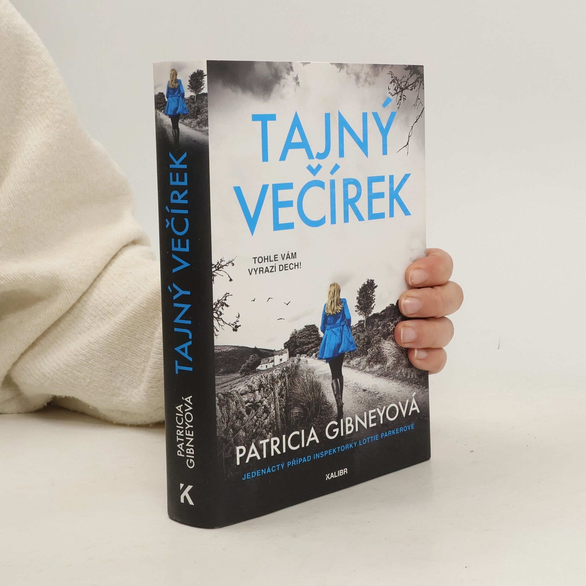 Patricia Gibney Tajný večírek