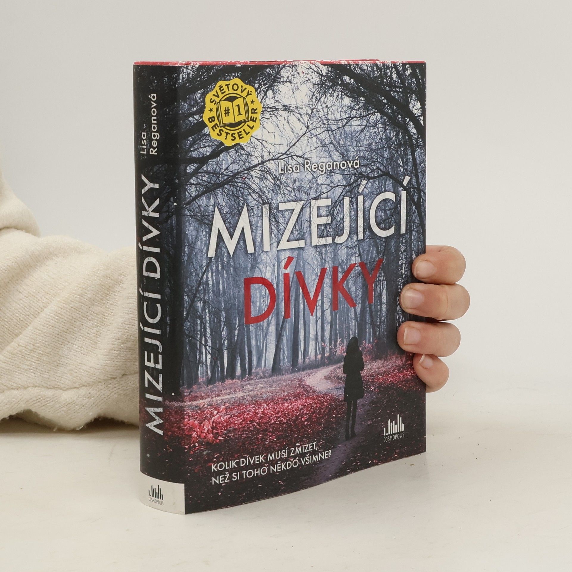 Lisa Regan Mizející dívky