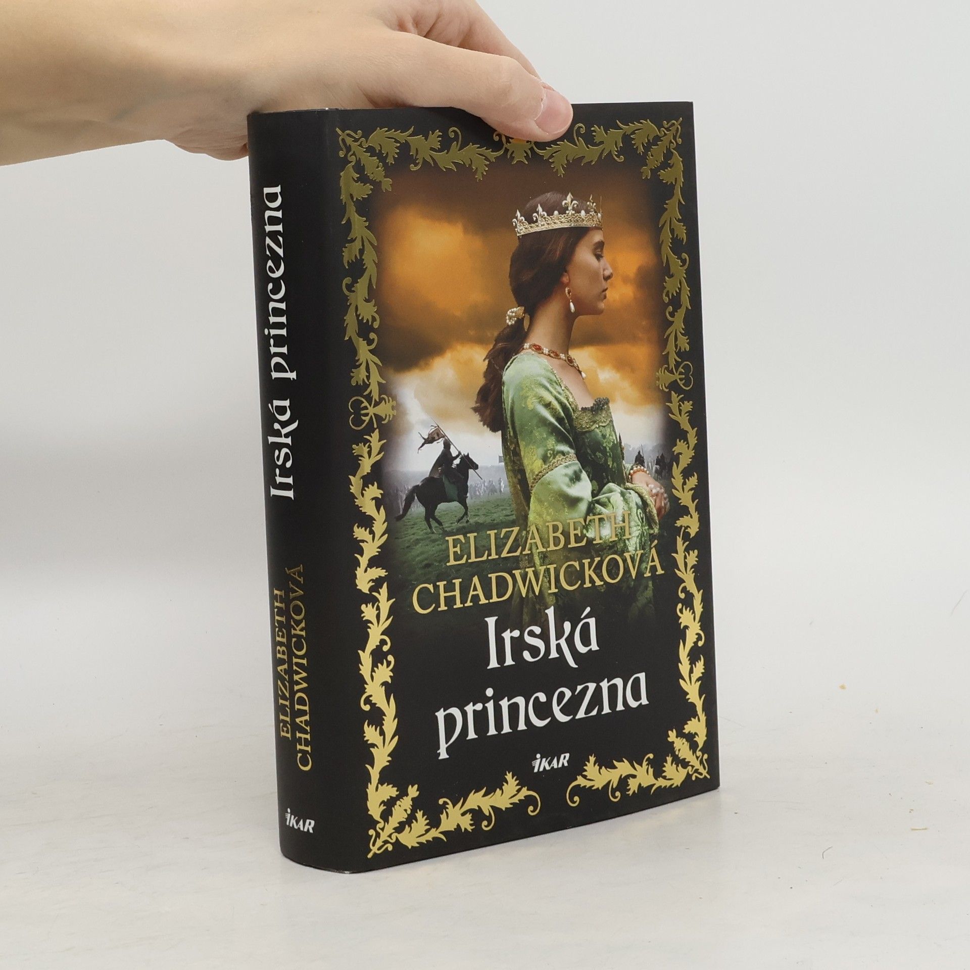 Elizabeth Chadwick Irská princezna