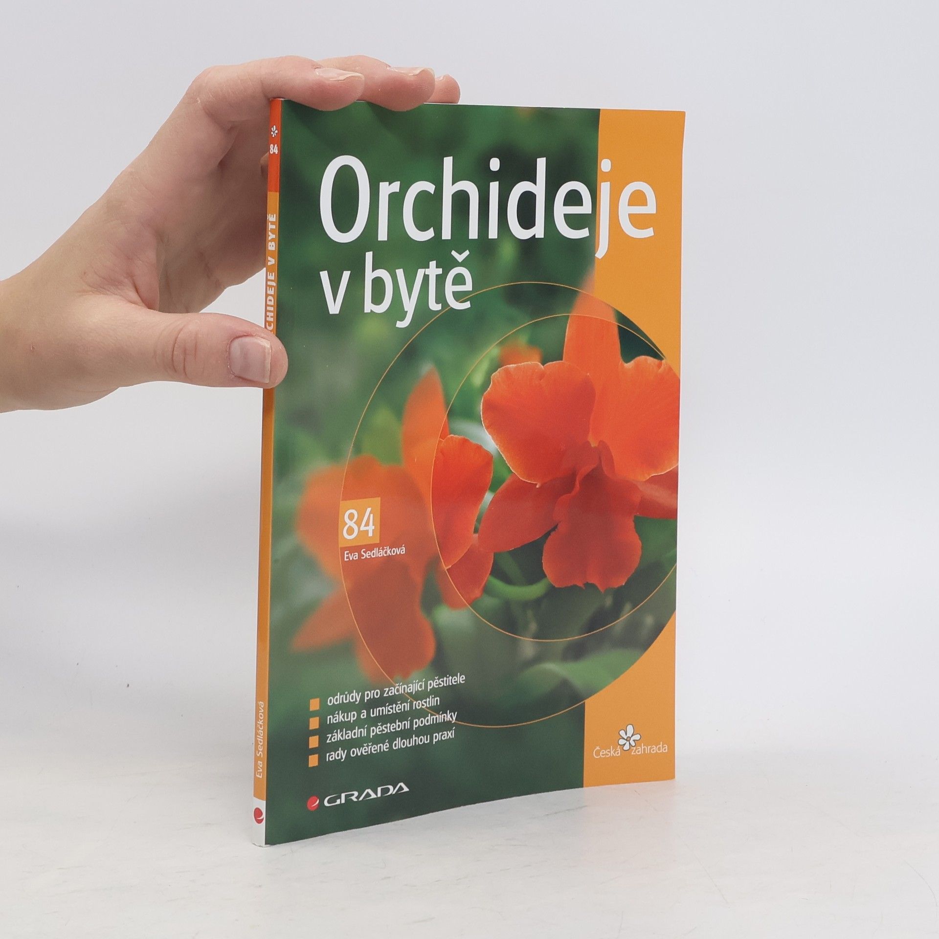 Eva Sedláčková Orchideje v bytě