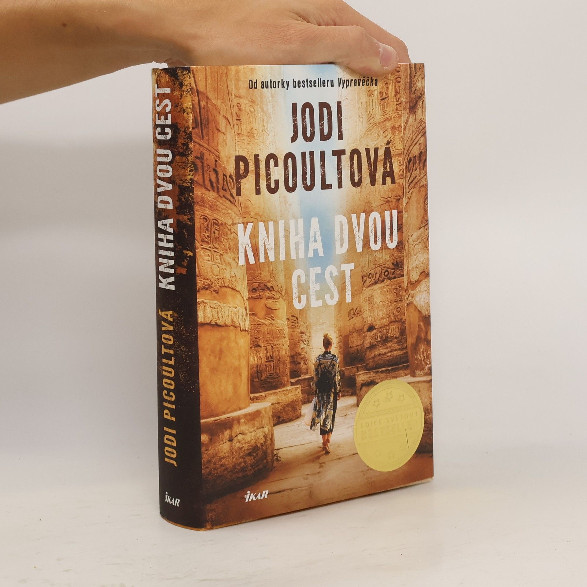 Jodi Picoult Kniha dvou cest