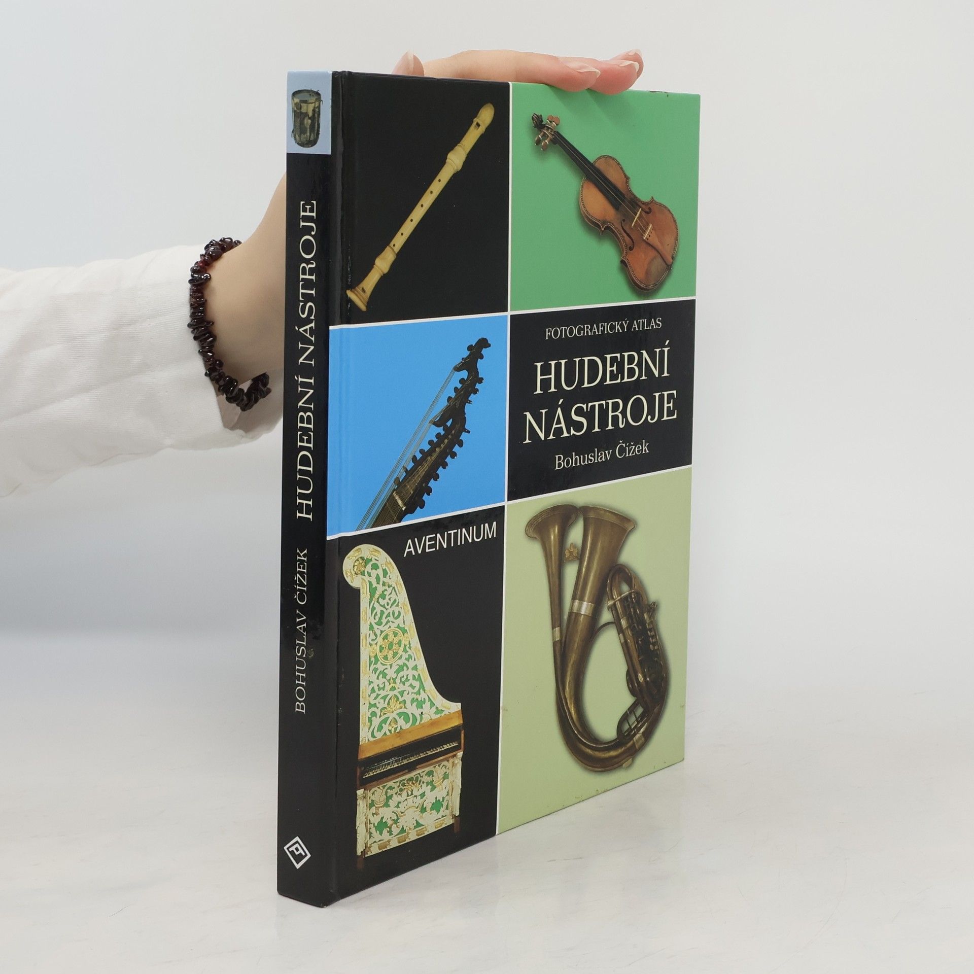 Bohuslav Čížek Hudební nástroje