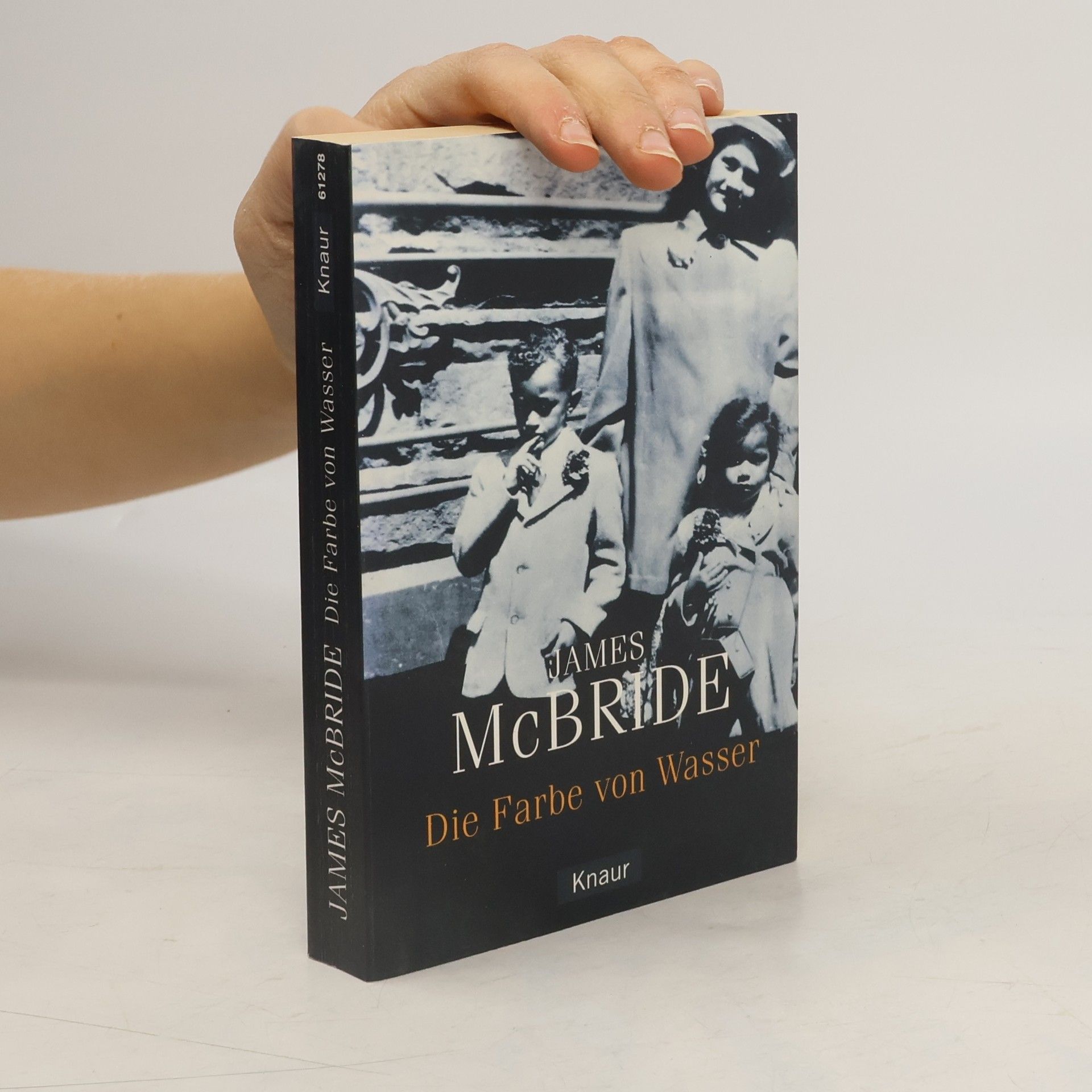 James McBride Die Farbe von Wasser