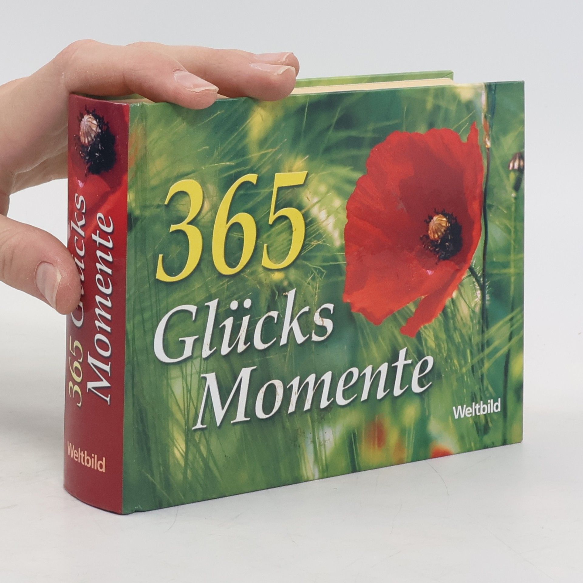 Collectif d'auteurs 365 Glücks Momente