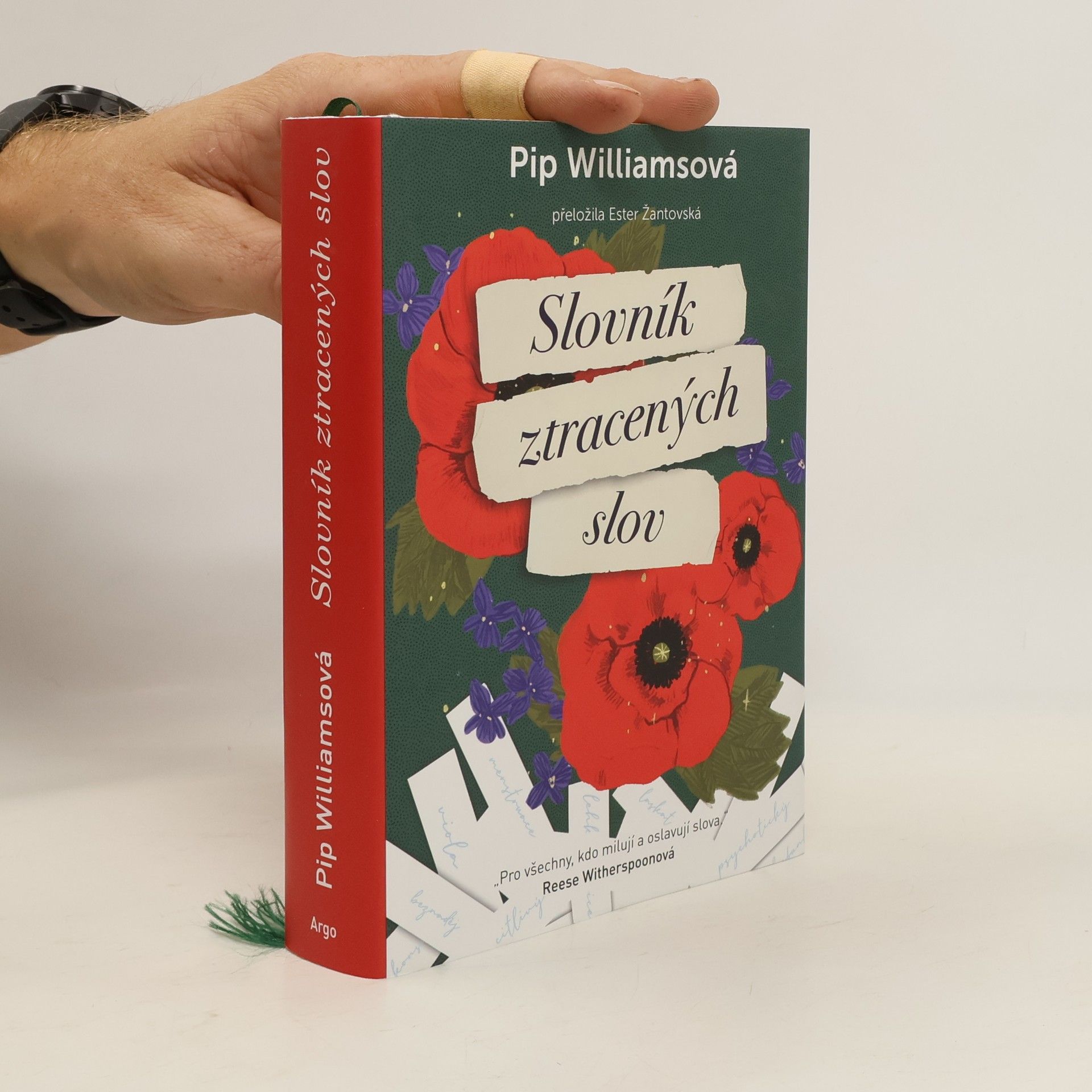 Pip Williams Slovník ztracených slov