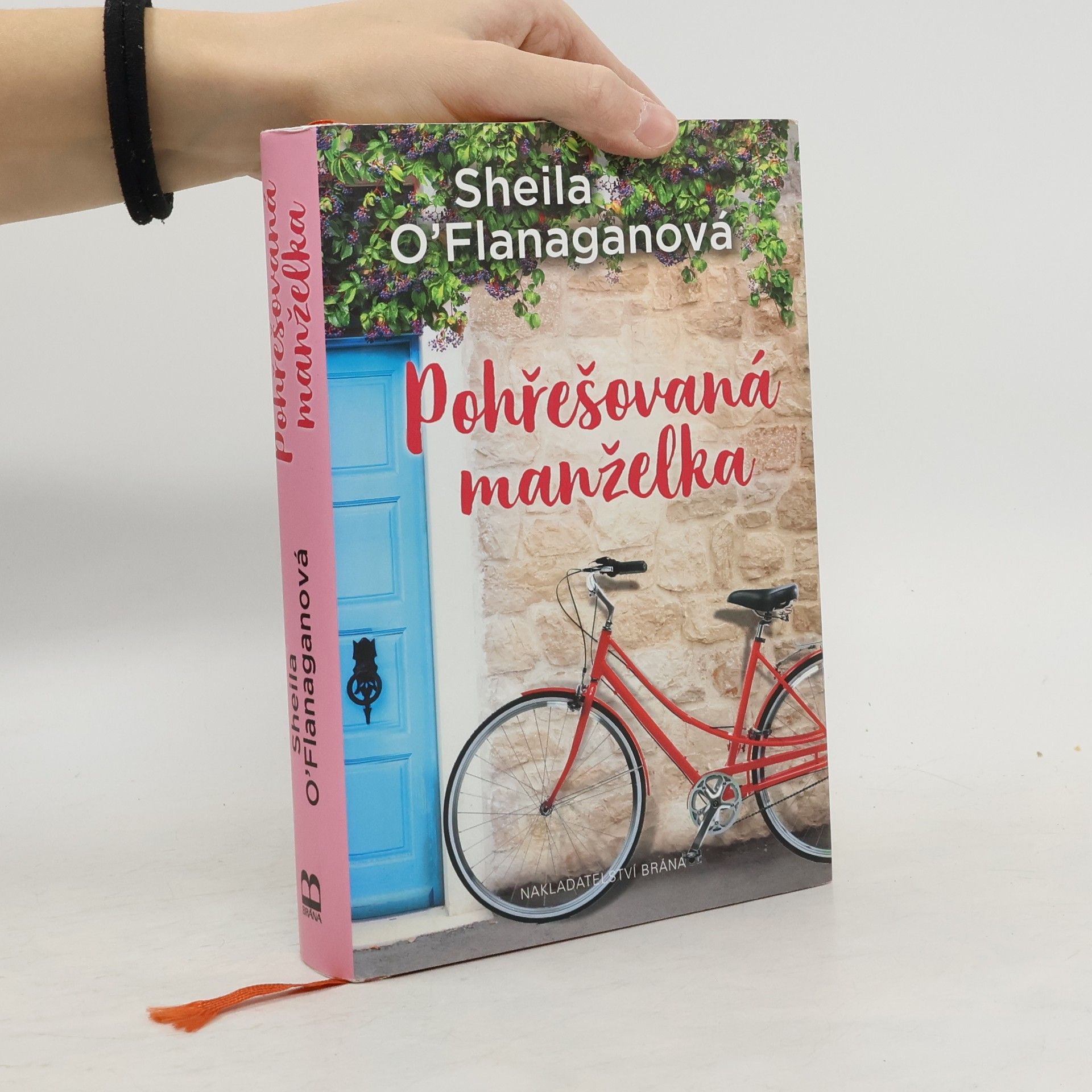 Sheila O’Flanagan Pohřešovaná manželka