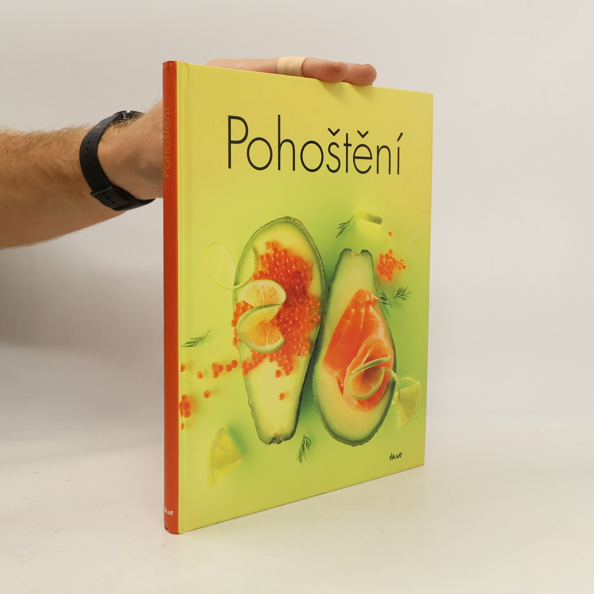 Kolektiv autorů Pohoštění