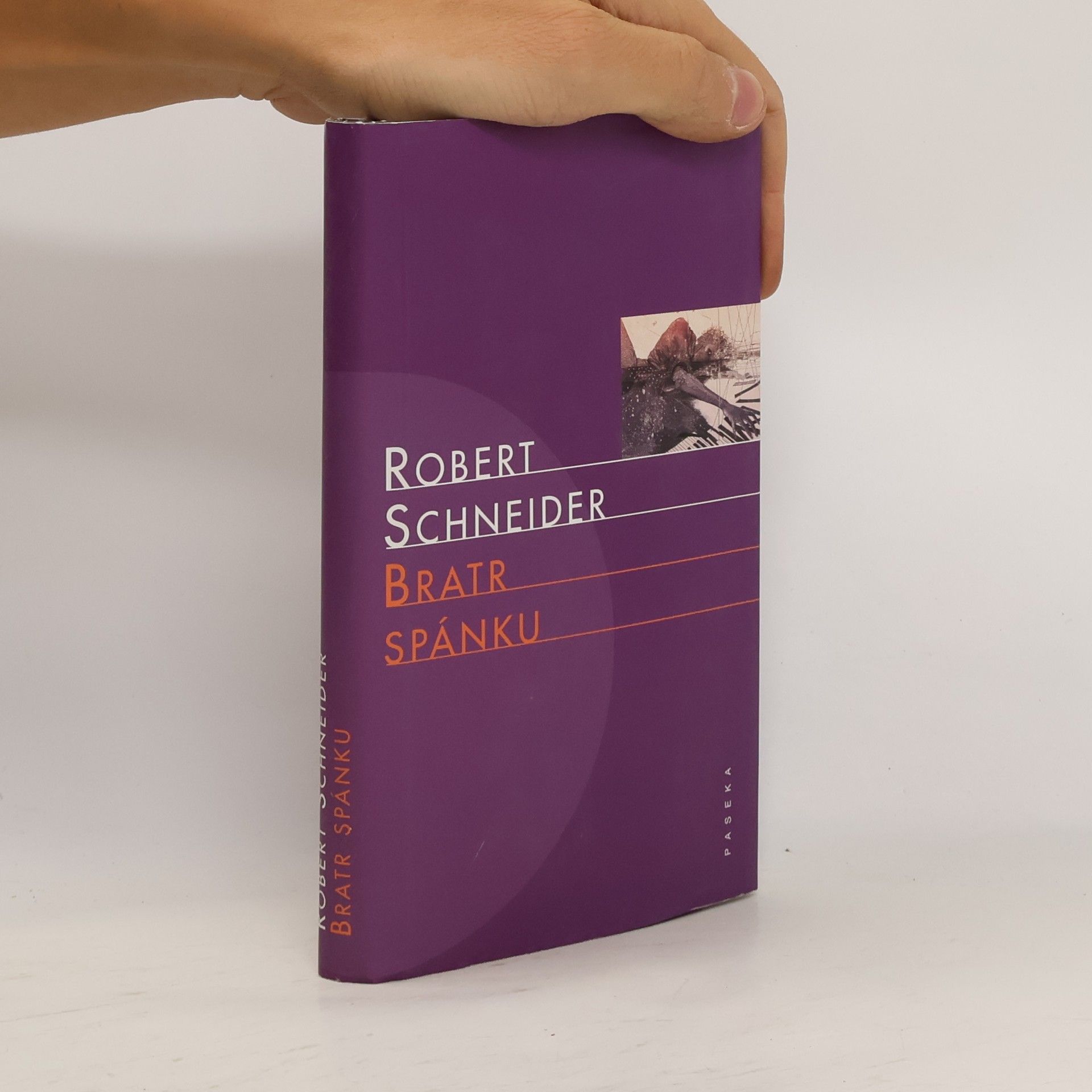 Robert Schneider Bratr spánku