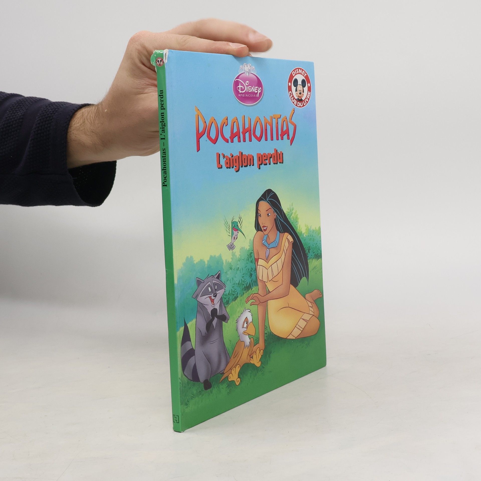 Collectif d'auteurs Pocahontas : L'aiglon perdu