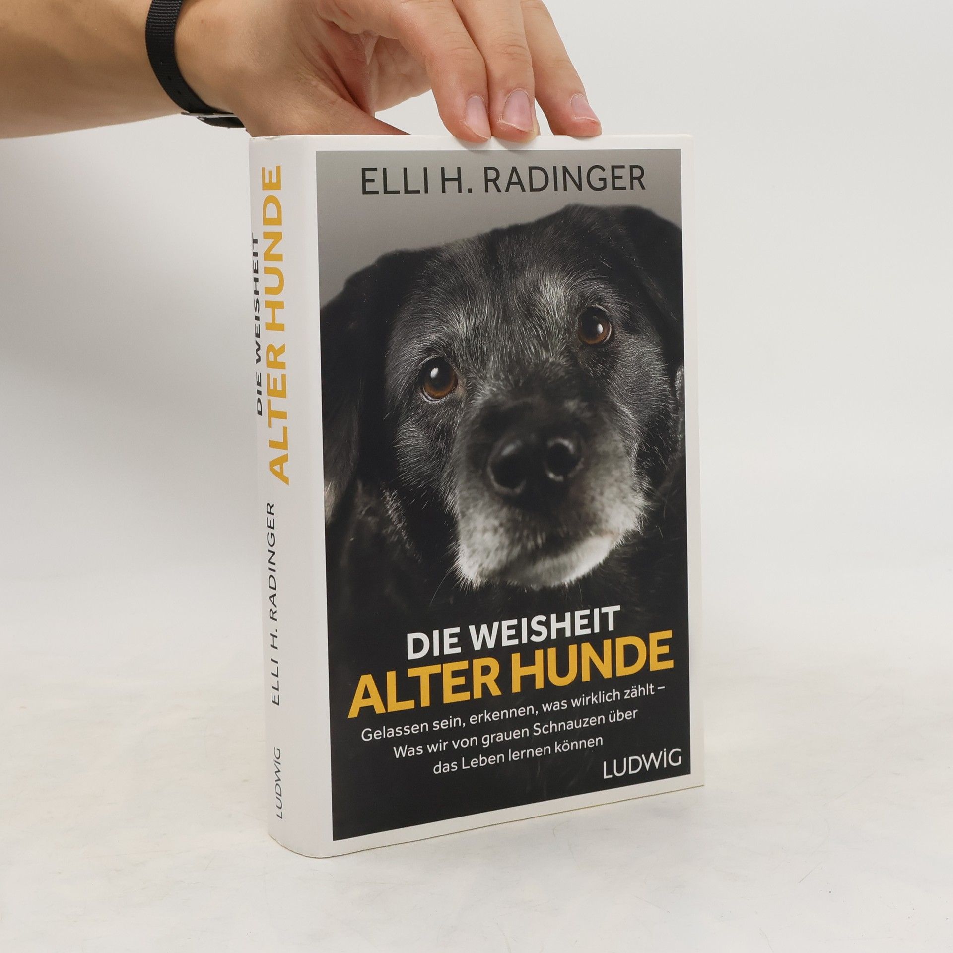 Die Weisheit alter Hunde
