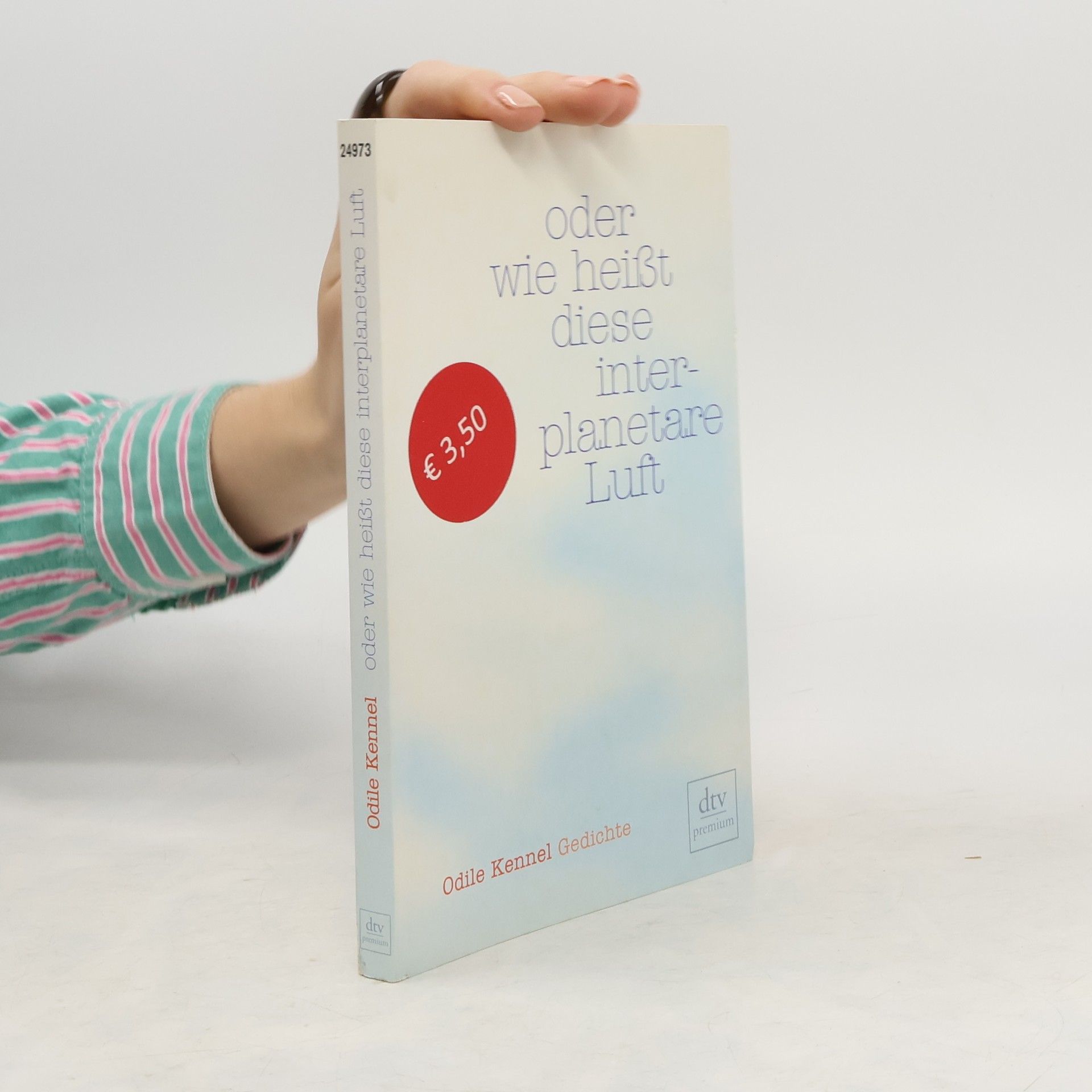 Julio Cortázar Südliche Autobahn